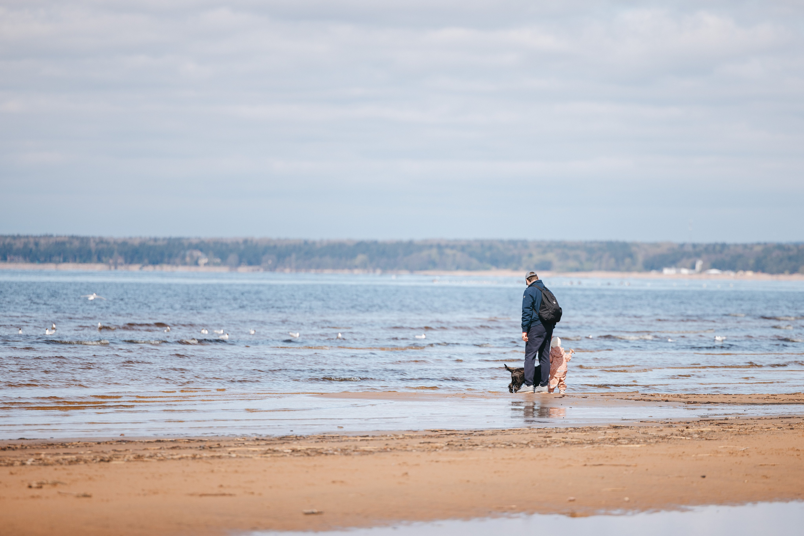 Спанимания. Фотограф анималист Осипчикова Мария