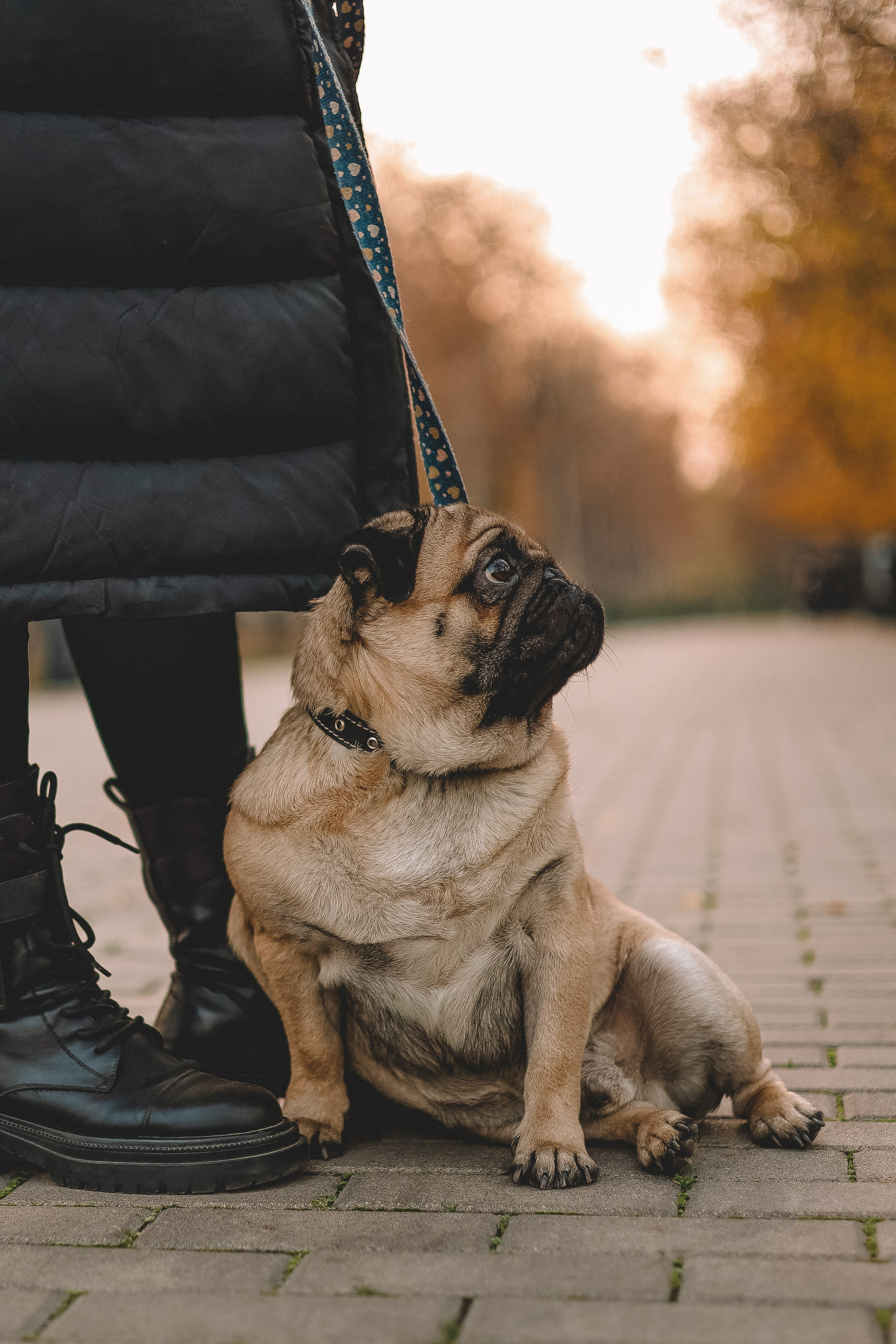 Фотопрогулки. Слава Лерина. Фотограф. Ростов-на-Дону