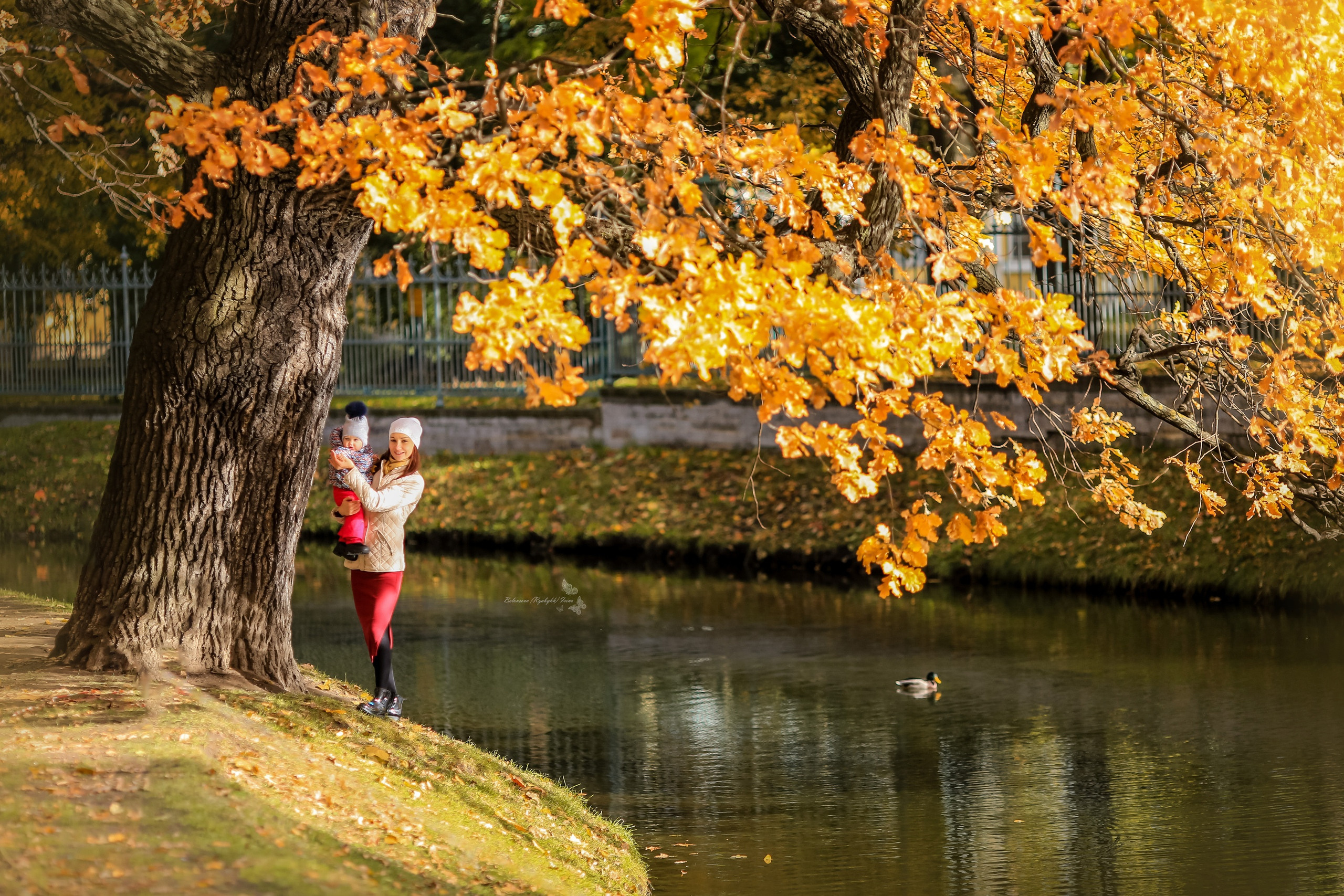 СЕМЕЙНЫЕ (FAMILY). Фотограф новорожденных, свадебный, семейный, детский фотограф в СПБ