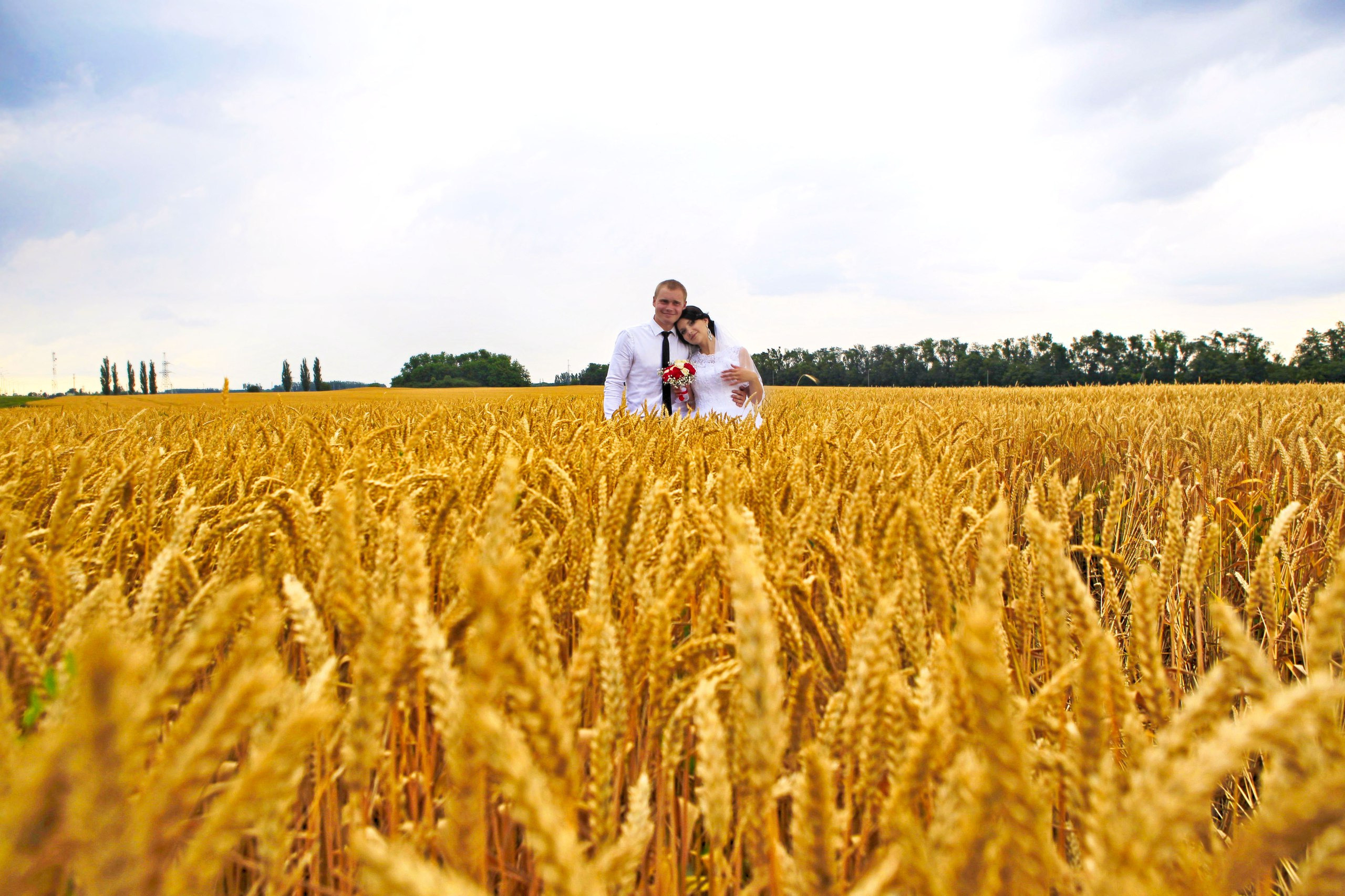 СВАДЕБНЫЕ (WEDDING). Фотограф новорожденных, свадебный, семейный, детский фотограф в СПБ