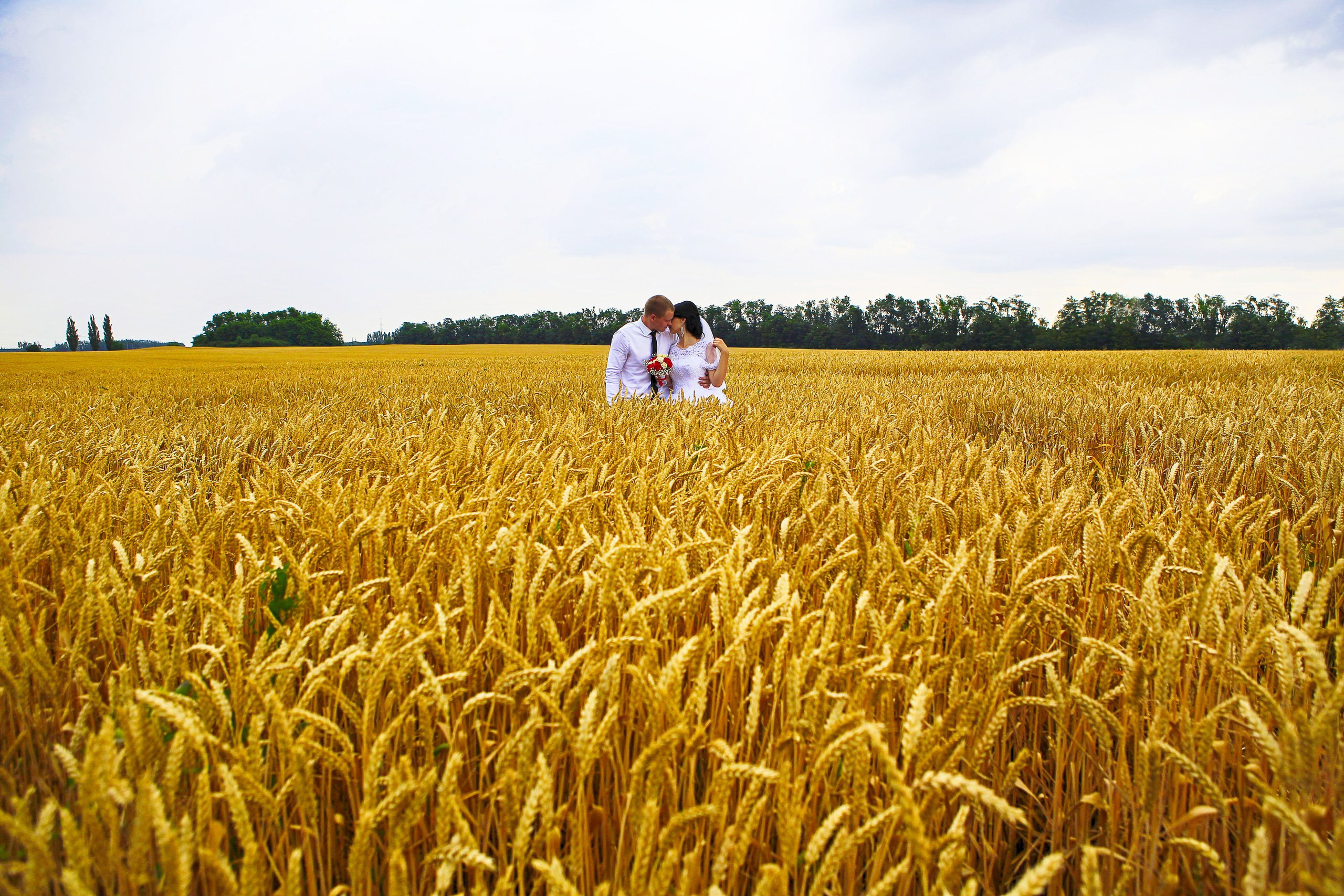 СВАДЕБНЫЕ (WEDDING). Фотограф новорожденных, свадебный, семейный, детский фотограф в СПБ
