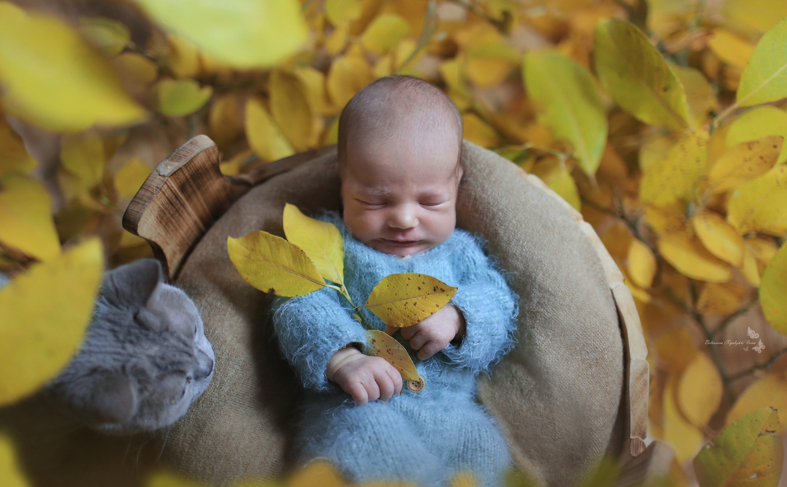 НОВОРОЖДЕННЫЕ (NEWBORN). Фотограф новорожденных, свадебный, семейный, детский фотограф в СПБ