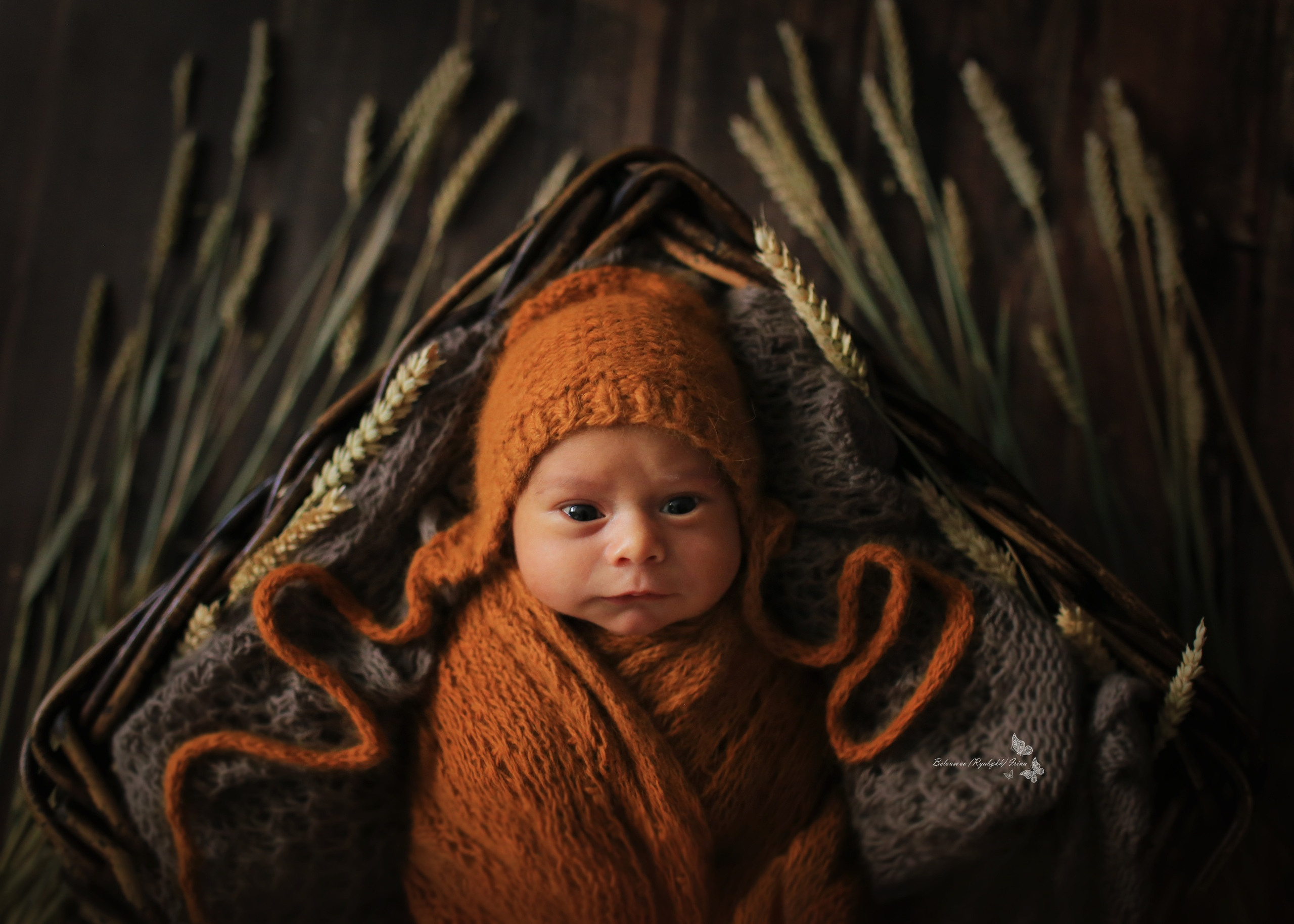 НОВОРОЖДЕННЫЕ (NEWBORN). Фотограф новорожденных, свадебный, семейный, детский фотограф в СПБ