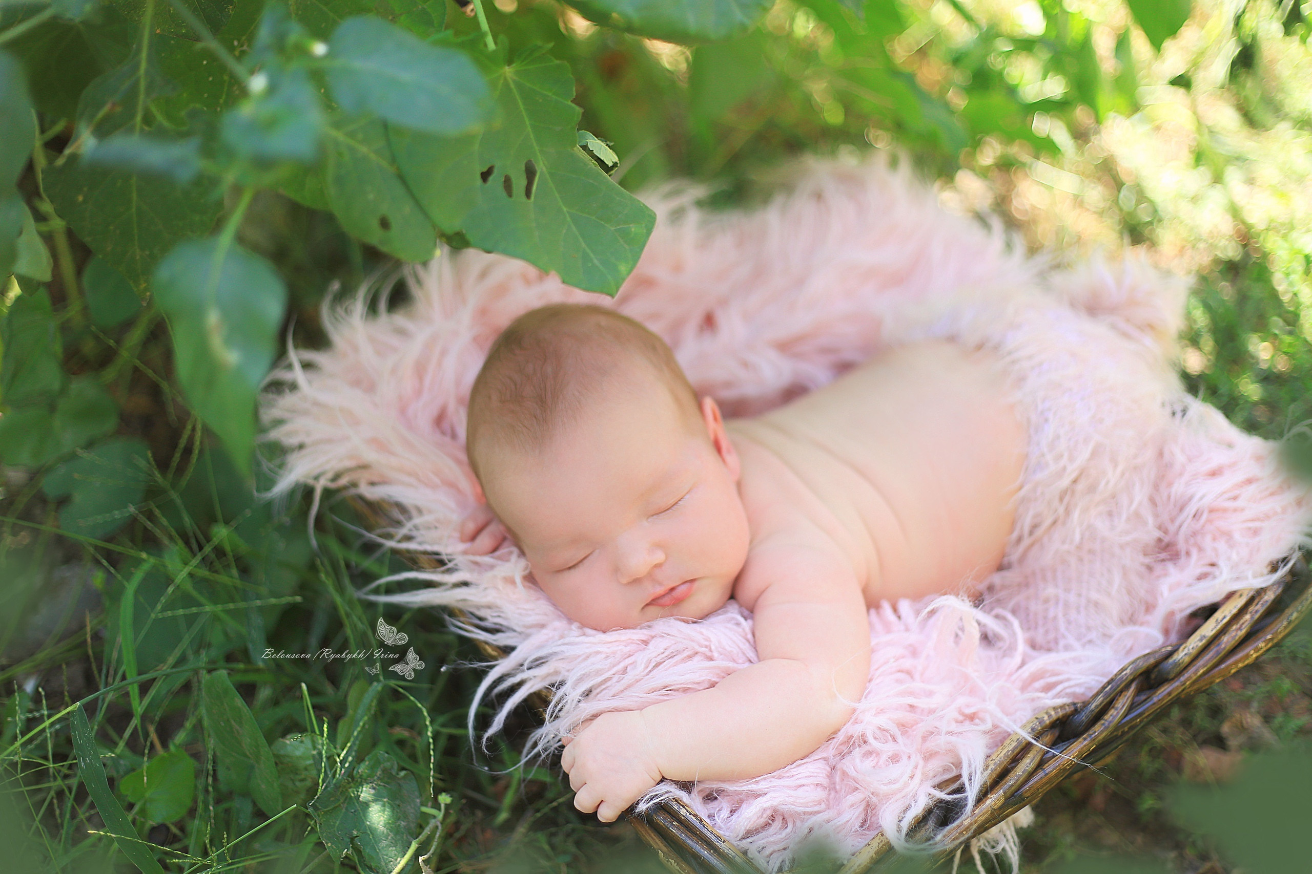 НОВОРОЖДЕННЫЕ (NEWBORN). Фотограф новорожденных, свадебный, семейный, детский фотограф в СПБ