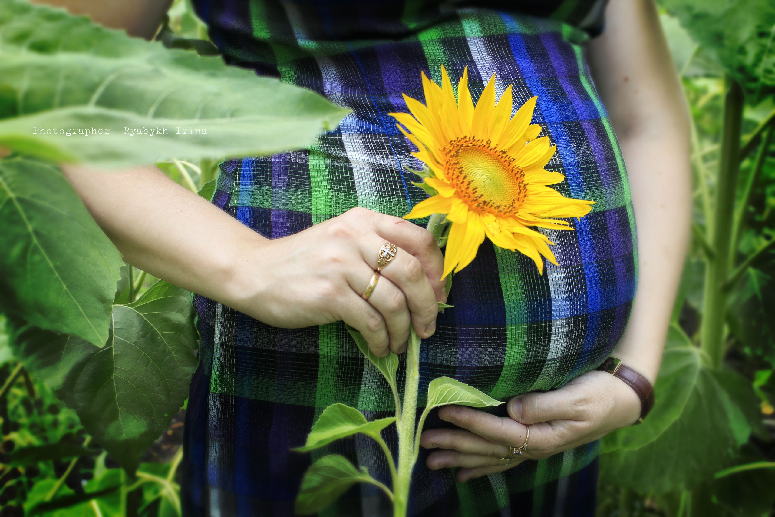 В ОЖИДАНИИ ЧУДА (PREGNANCY). Фотограф новорожденных, свадебный, семейный, детский фотограф в СПБ