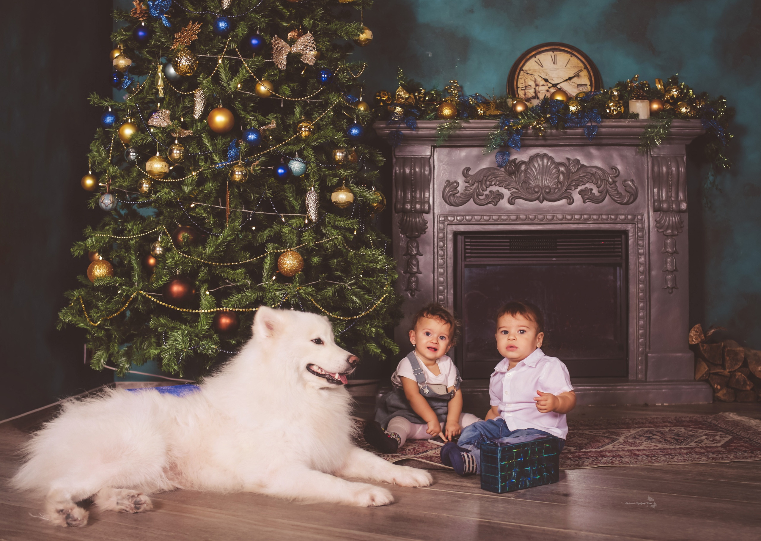 НОВОГОДНИЕ (NEW YEAR). Фотограф новорожденных, свадебный, семейный, детский фотограф в СПБ