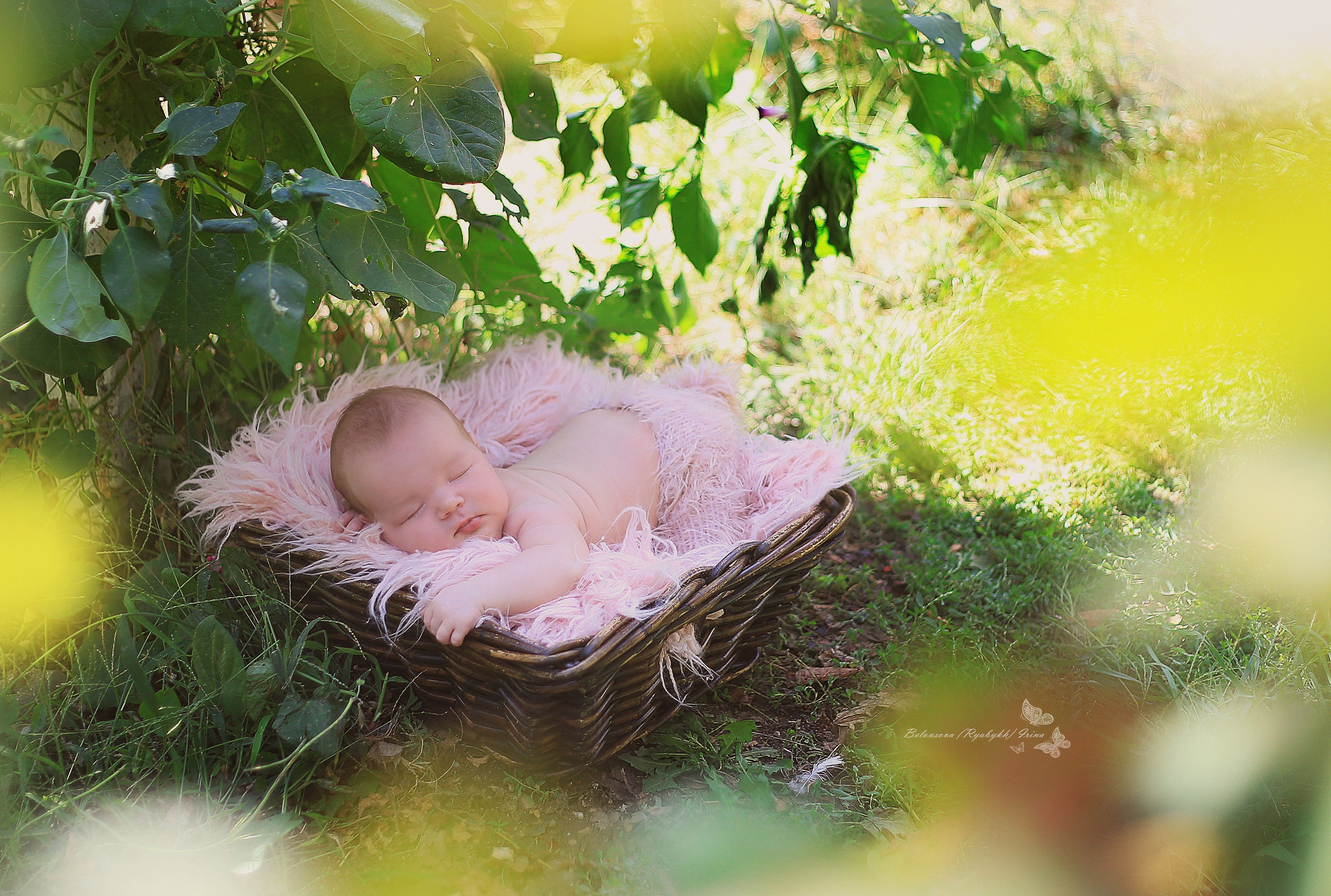 НОВОРОЖДЕННЫЕ (NEWBORN). Фотограф новорожденных, свадебный, семейный, детский фотограф в СПБ