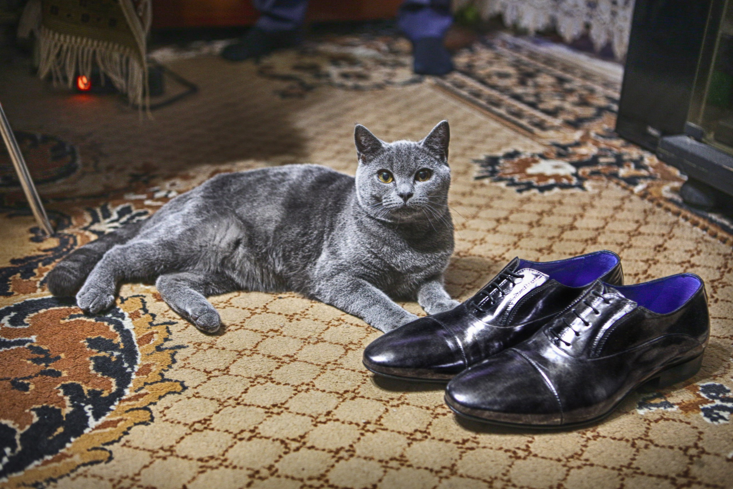 СВАДЕБНЫЕ (WEDDING). Фотограф новорожденных, свадебный, семейный, детский фотограф в СПБ