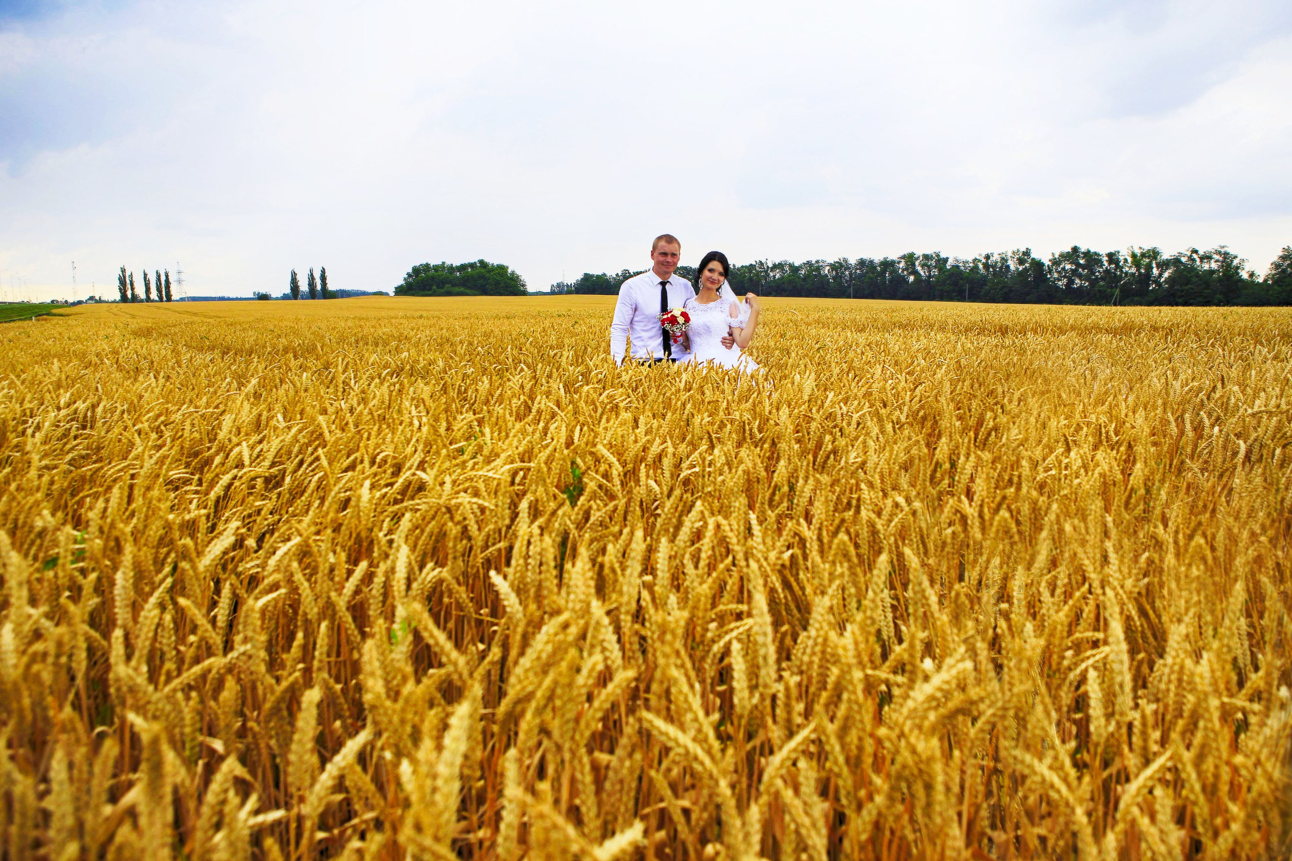 СВАДЕБНЫЕ (WEDDING). Фотограф новорожденных, свадебный, семейный, детский фотограф в СПБ