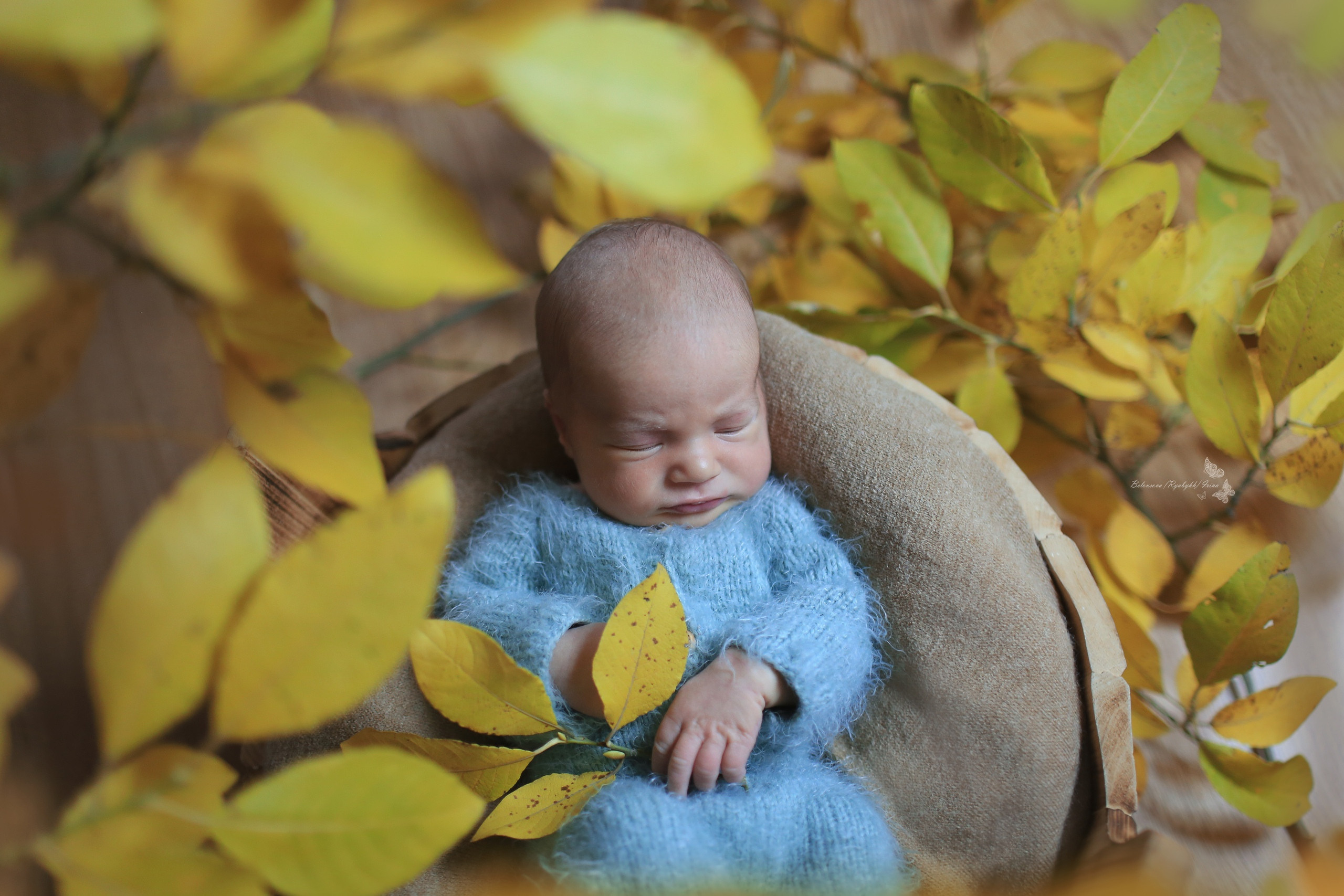НОВОРОЖДЕННЫЕ (NEWBORN). Фотограф новорожденных, свадебный, семейный, детский фотограф в СПБ