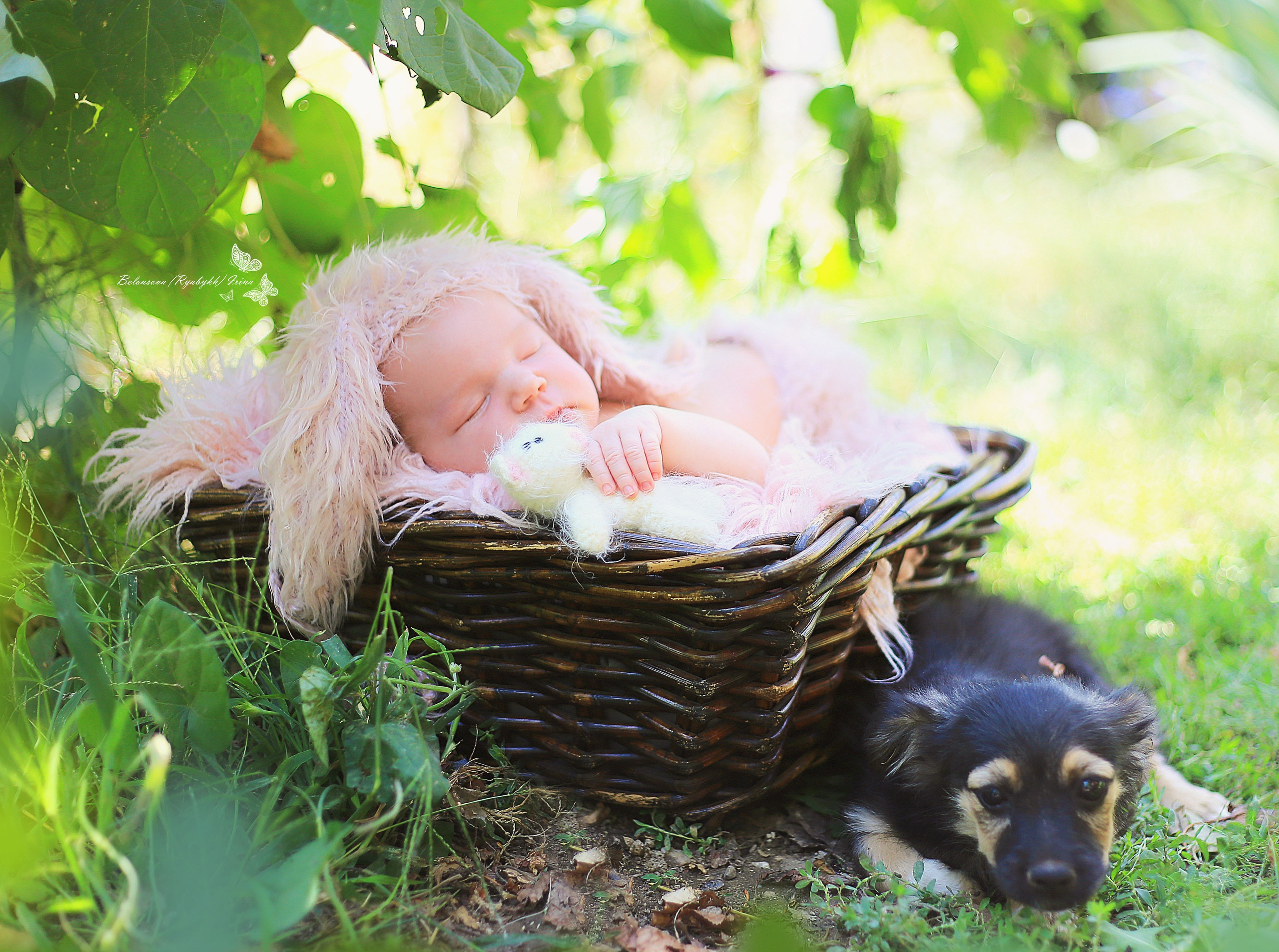 НОВОРОЖДЕННЫЕ (NEWBORN). Фотограф новорожденных, свадебный, семейный, детский фотограф в СПБ