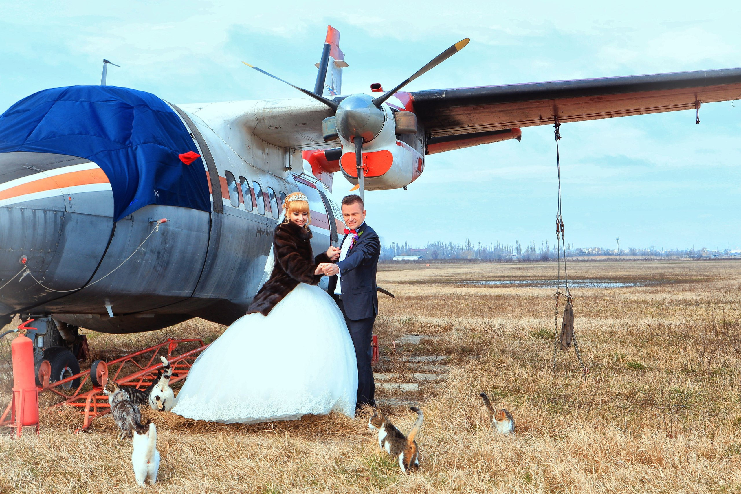 СВАДЕБНЫЕ (WEDDING). Фотограф новорожденных, свадебный, семейный, детский фотограф в СПБ