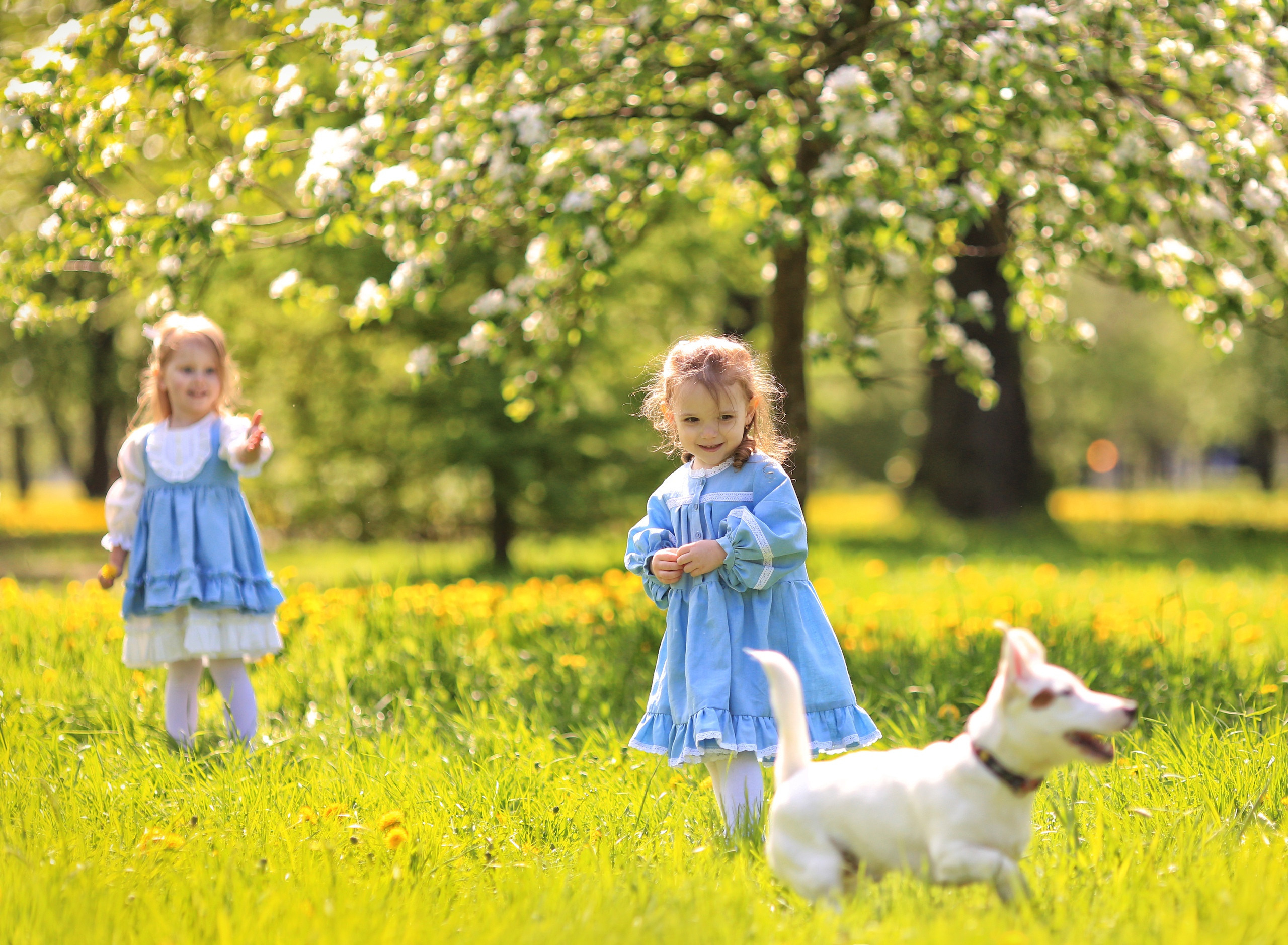 ДЕТИ (CHILDREN). Фотограф новорожденных, свадебный, семейный, детский фотограф в СПБ
