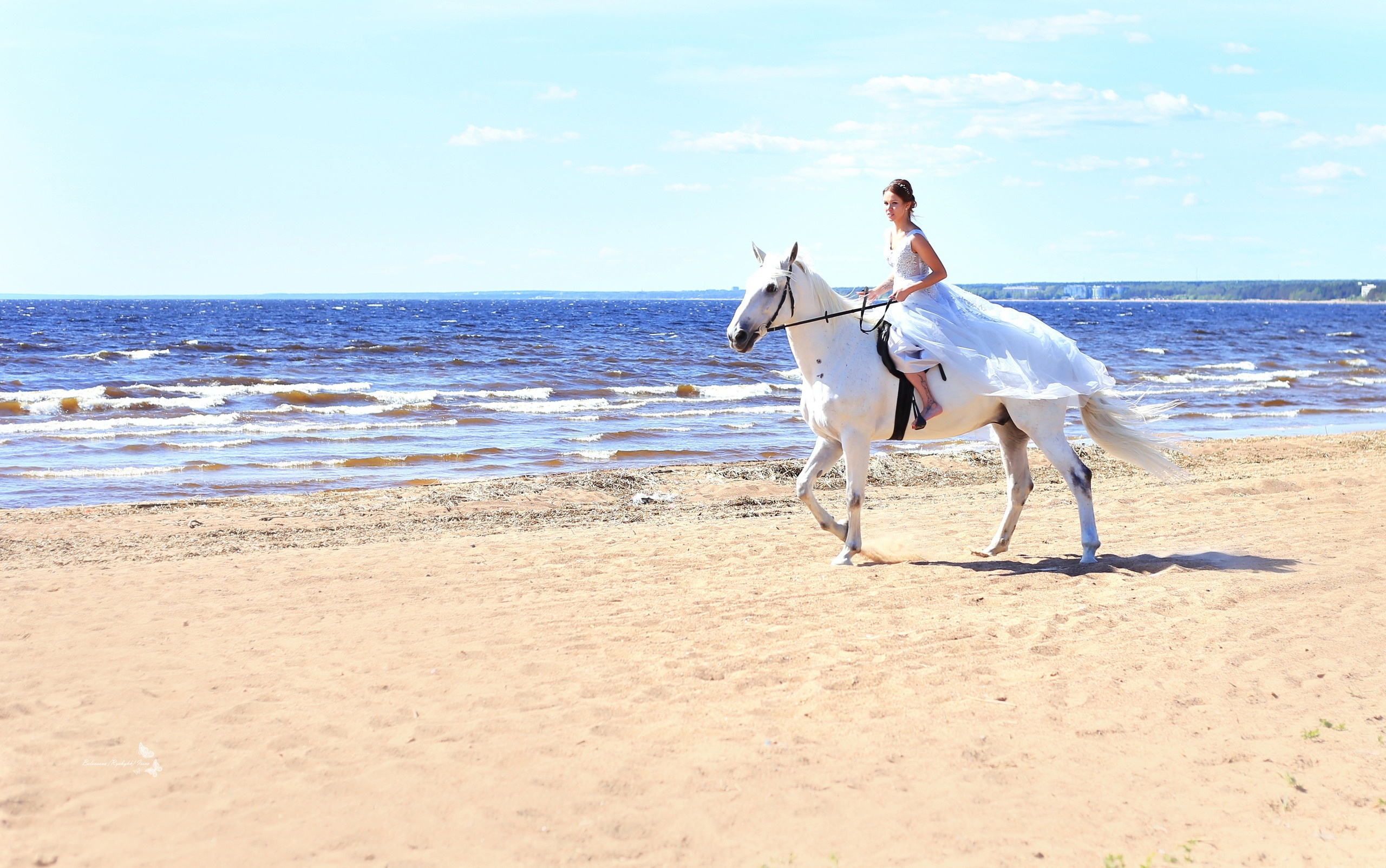 СВАДЕБНЫЕ (WEDDING). Фотограф новорожденных, свадебный, семейный, детский фотограф в СПБ