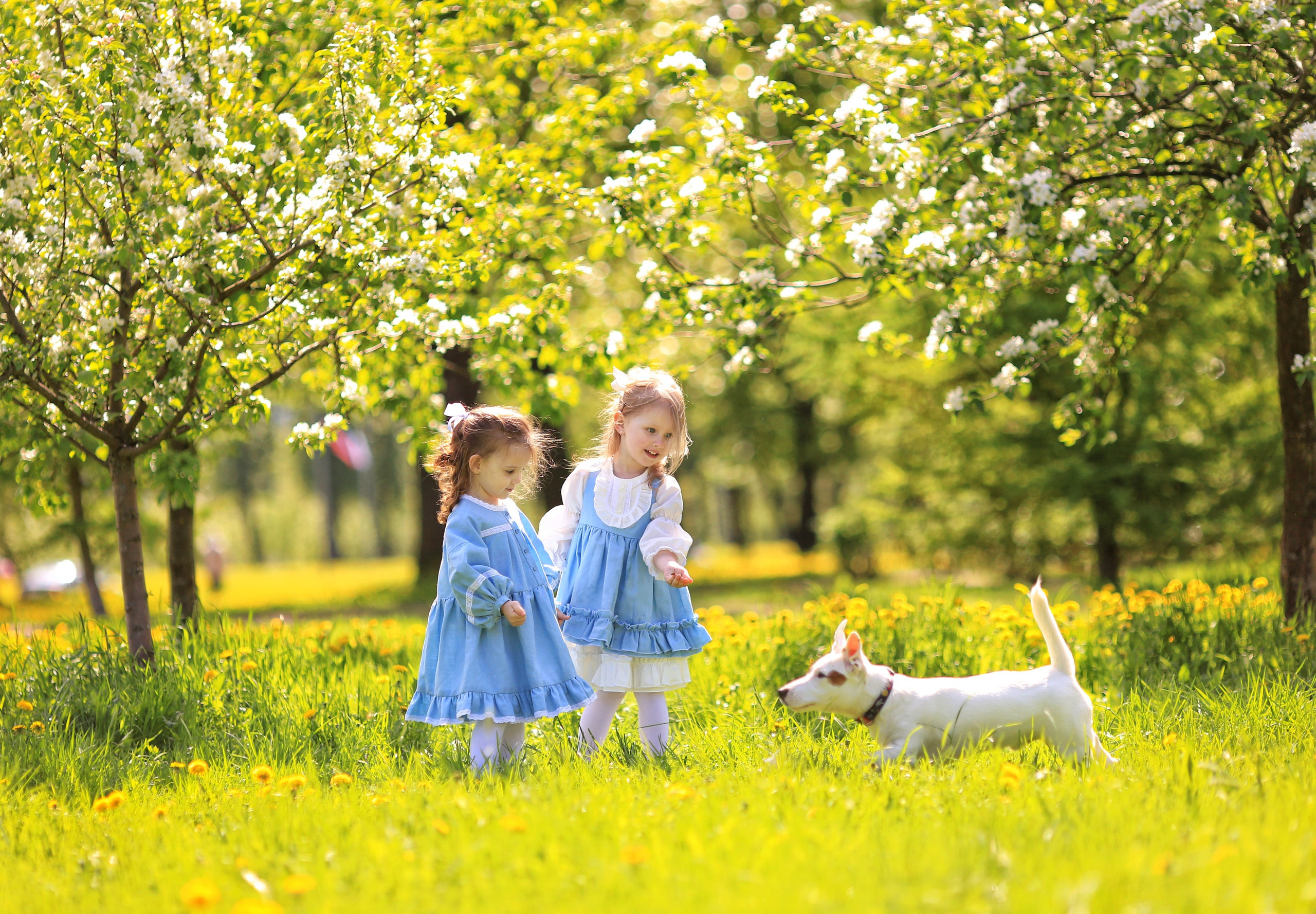 ДЕТИ (CHILDREN). Фотограф новорожденных, свадебный, семейный, детский фотограф в СПБ