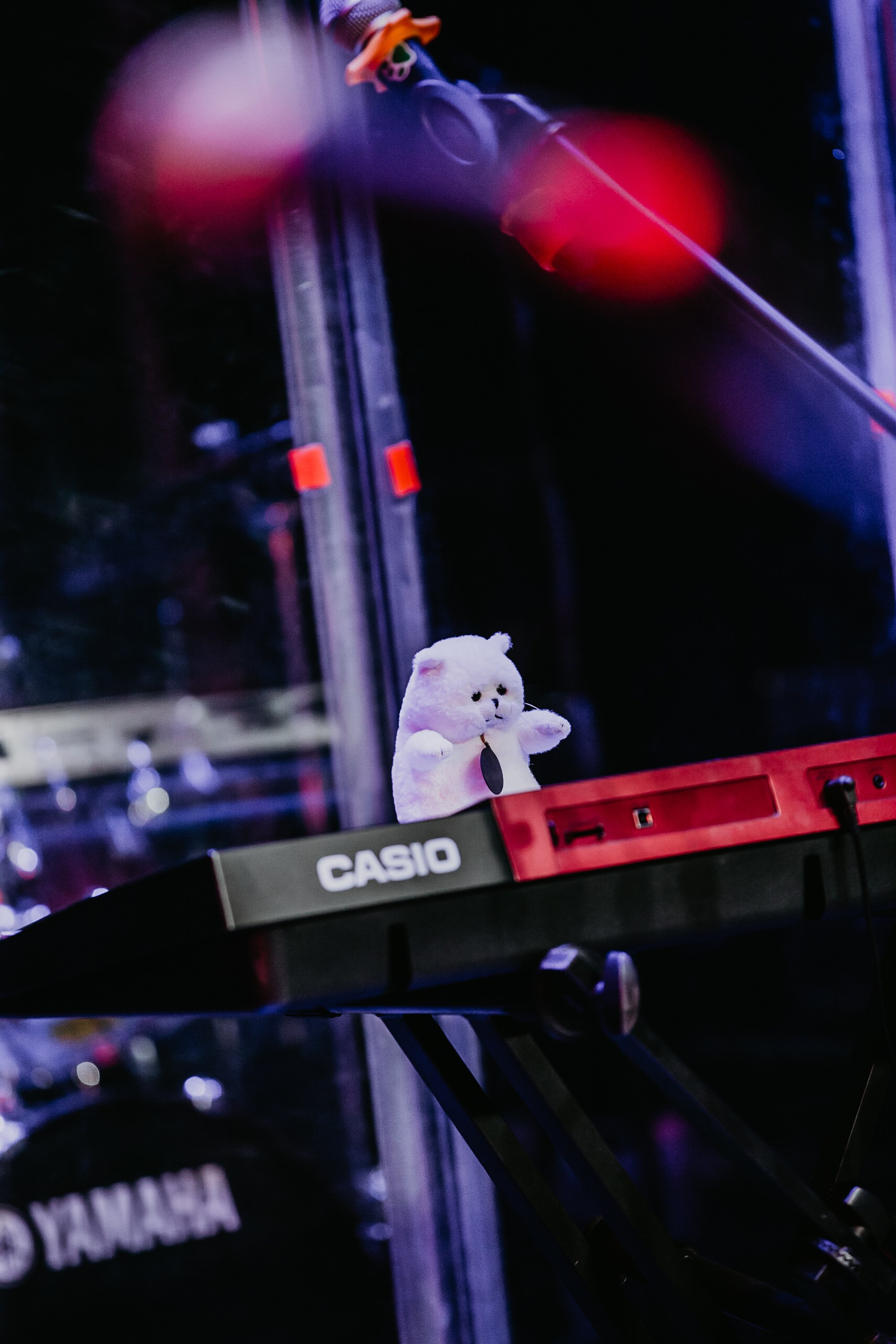 Всероссийский фестиваль «Серебряные струны». Фотограф событий Злобин Дмитрий