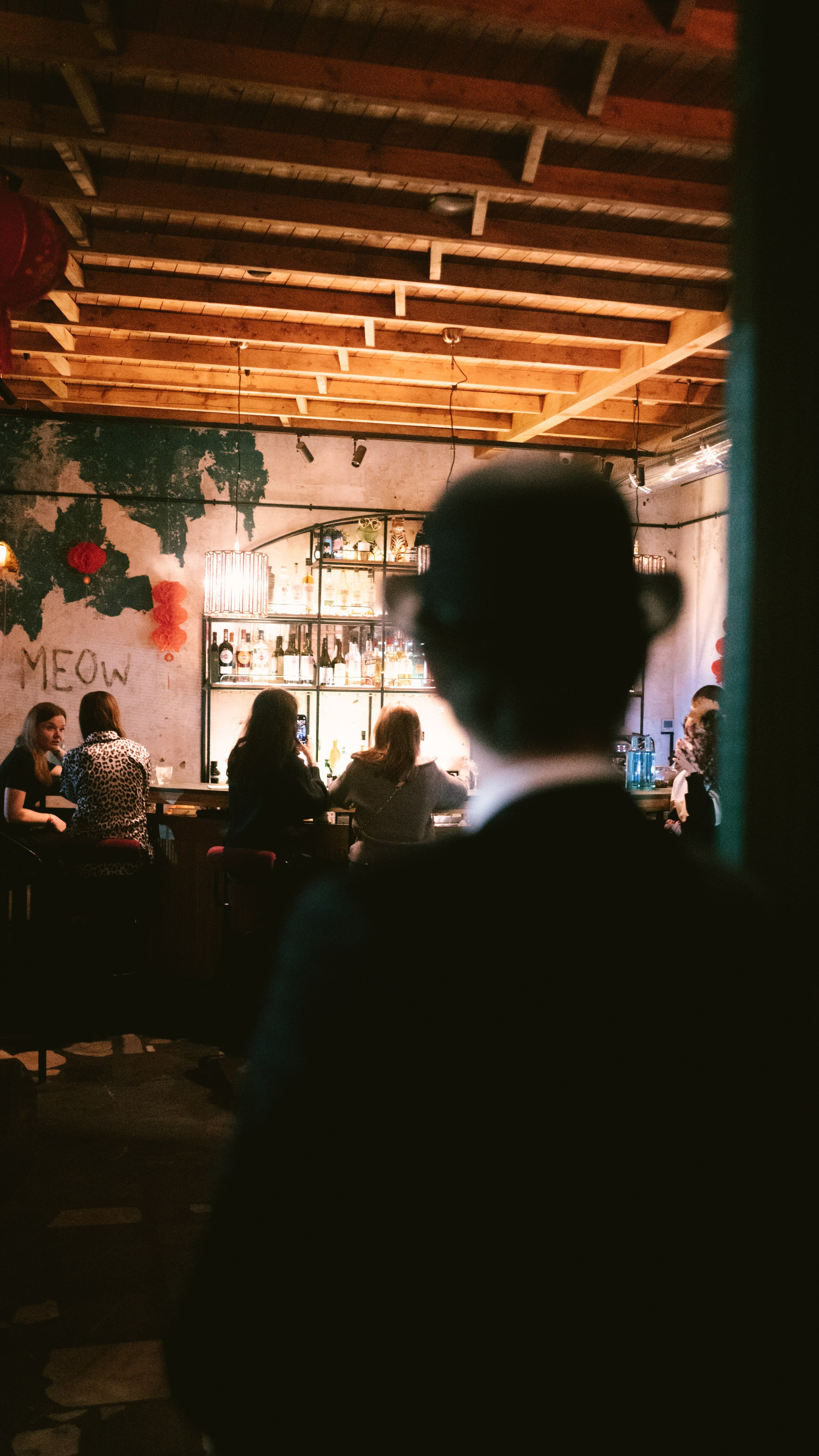 MEOW Bar. ЕВГЕНИЯ КОПАЧ