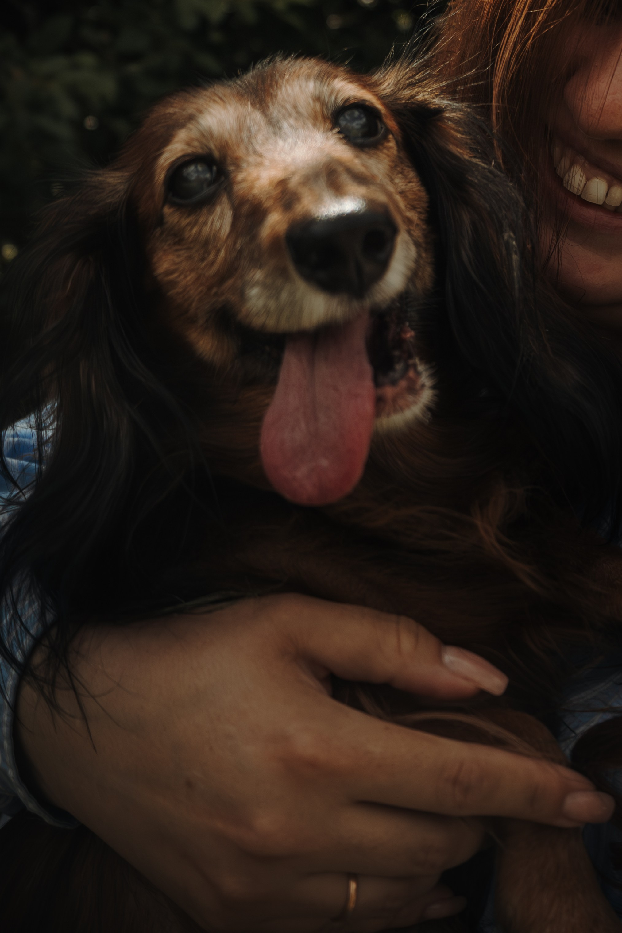 Семейная фотосессия с собаками в парке. Фотограф-анималист в Москве Екатерина Тихонова