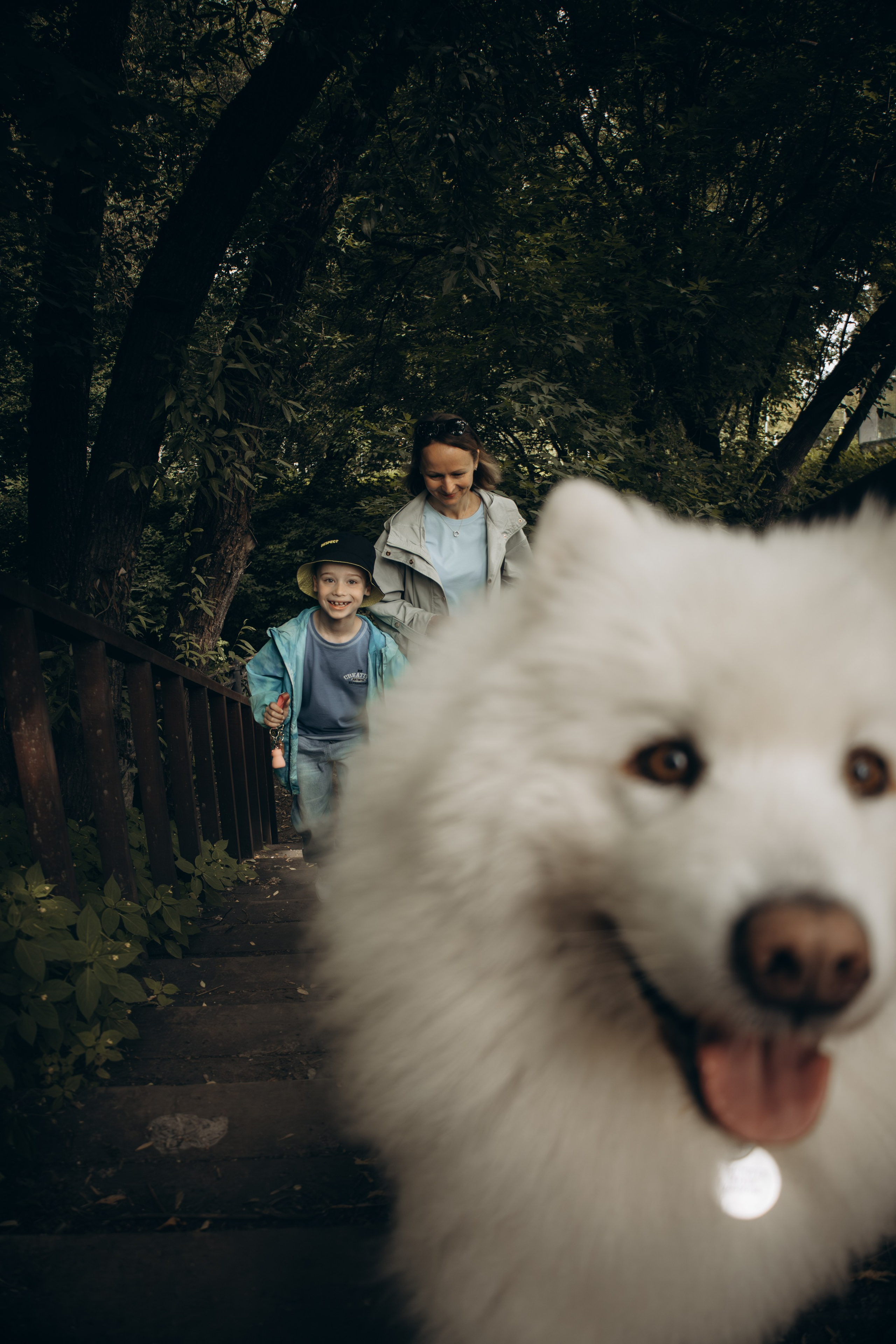 Фотосессия с ребенком и собакой в парке. Фотограф-анималист в Москве Екатерина Тихонова
