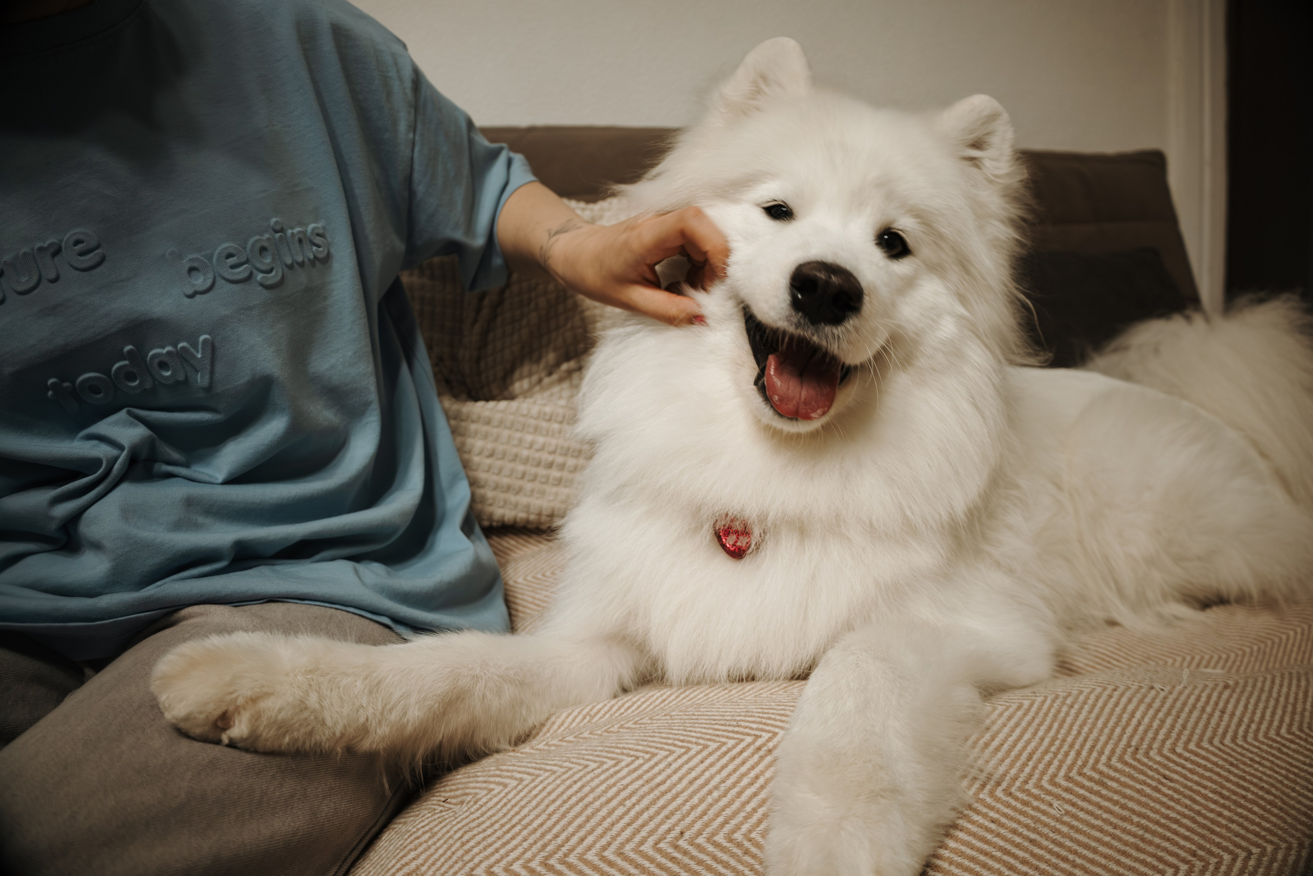 Домашняя фотосессия девушки с собакой и пара фото в дождливый день. Фотограф-анималист в Москве Екатерина Тихонова