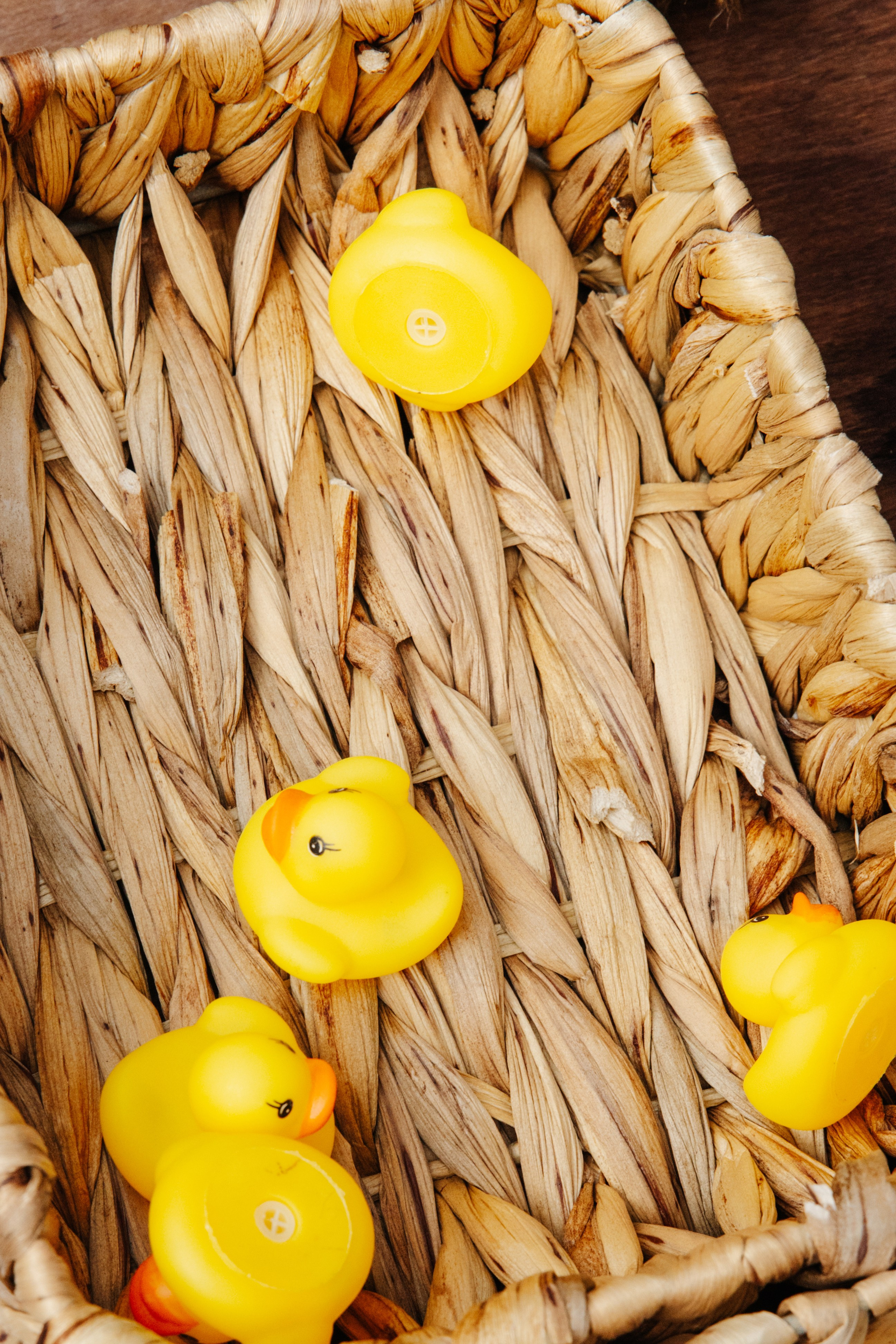 ГЕНДЕР ПАТИ. Фотограф в Красноярске