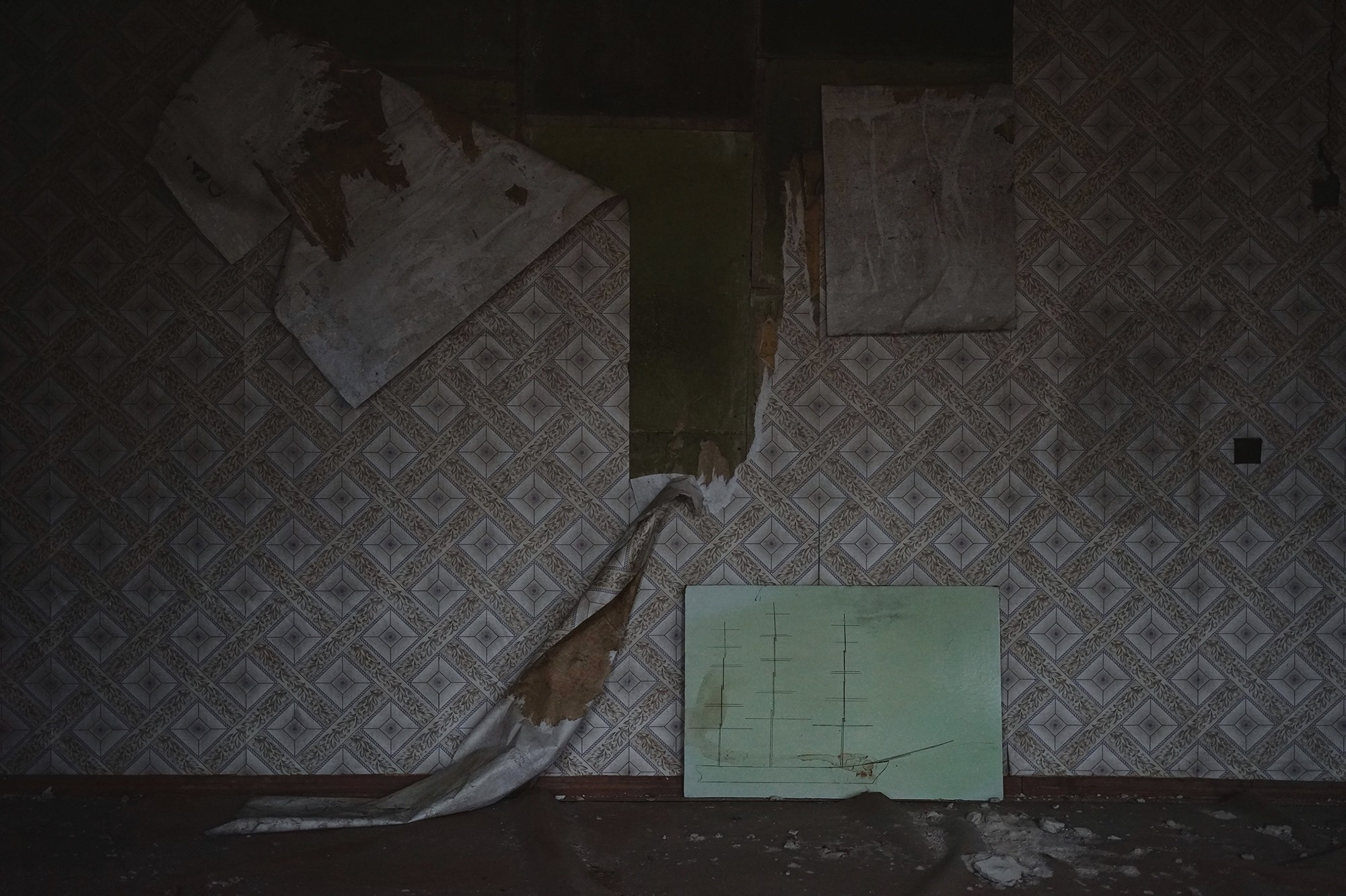 Sea, kind of. Daria Kryl