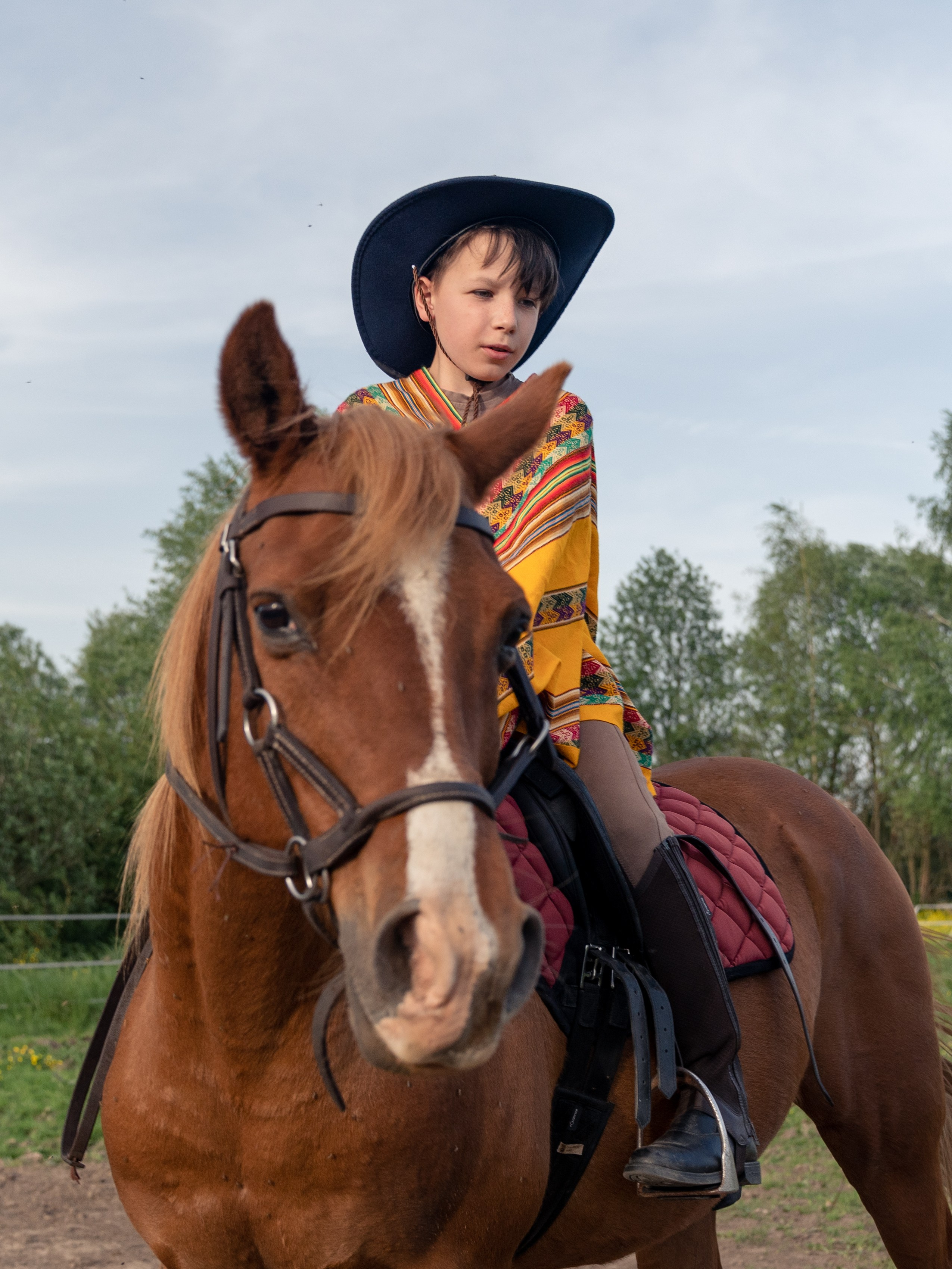 Выйти в лето в поле с конем. Видеограф и фотограф в Москве Анастасия Рябчикова