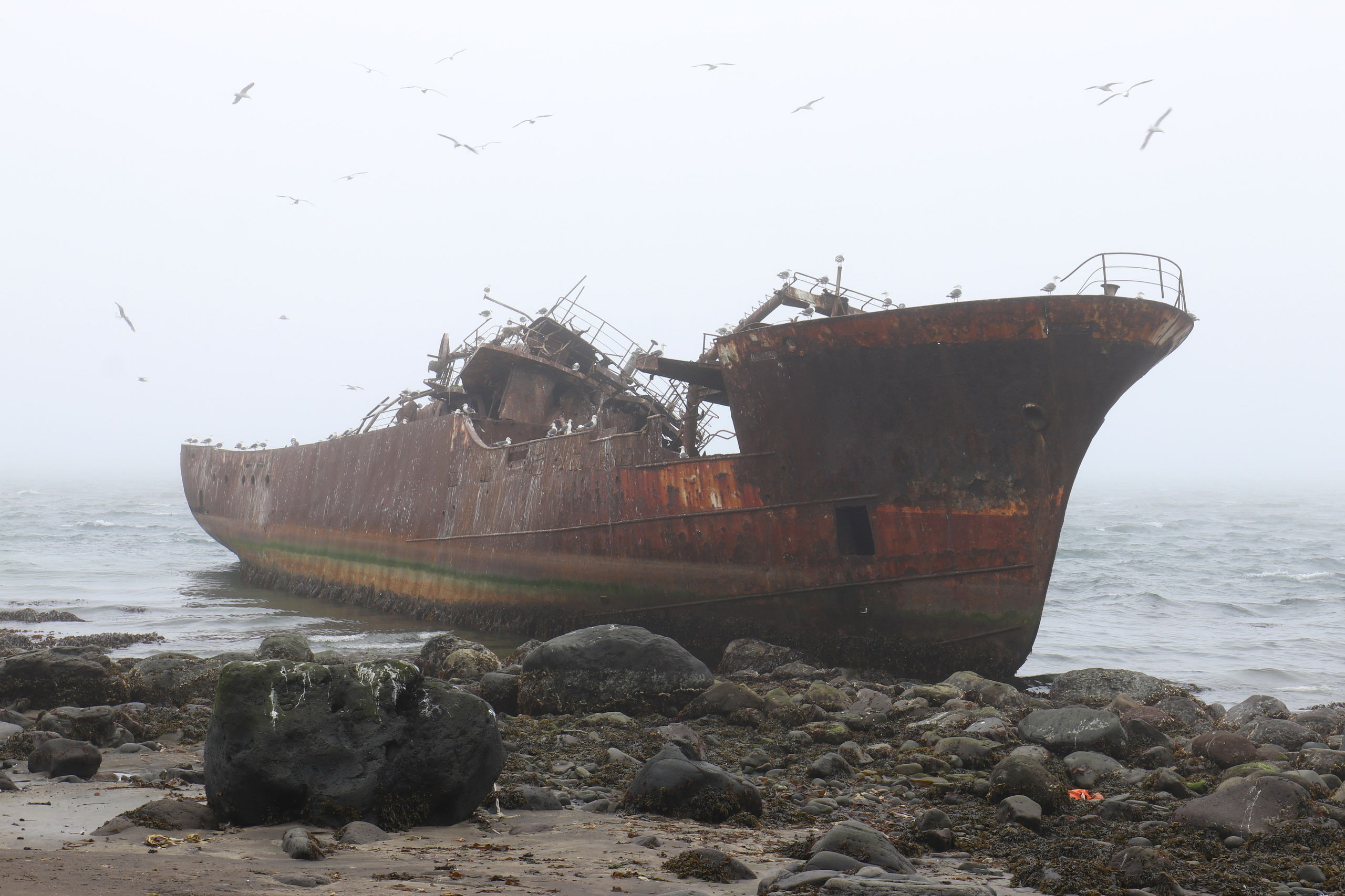 Камчатка и о. Парамушир. Июль 2024. Путешественник-фотограф из Санкт-Петербурга Татьяна Свистулина