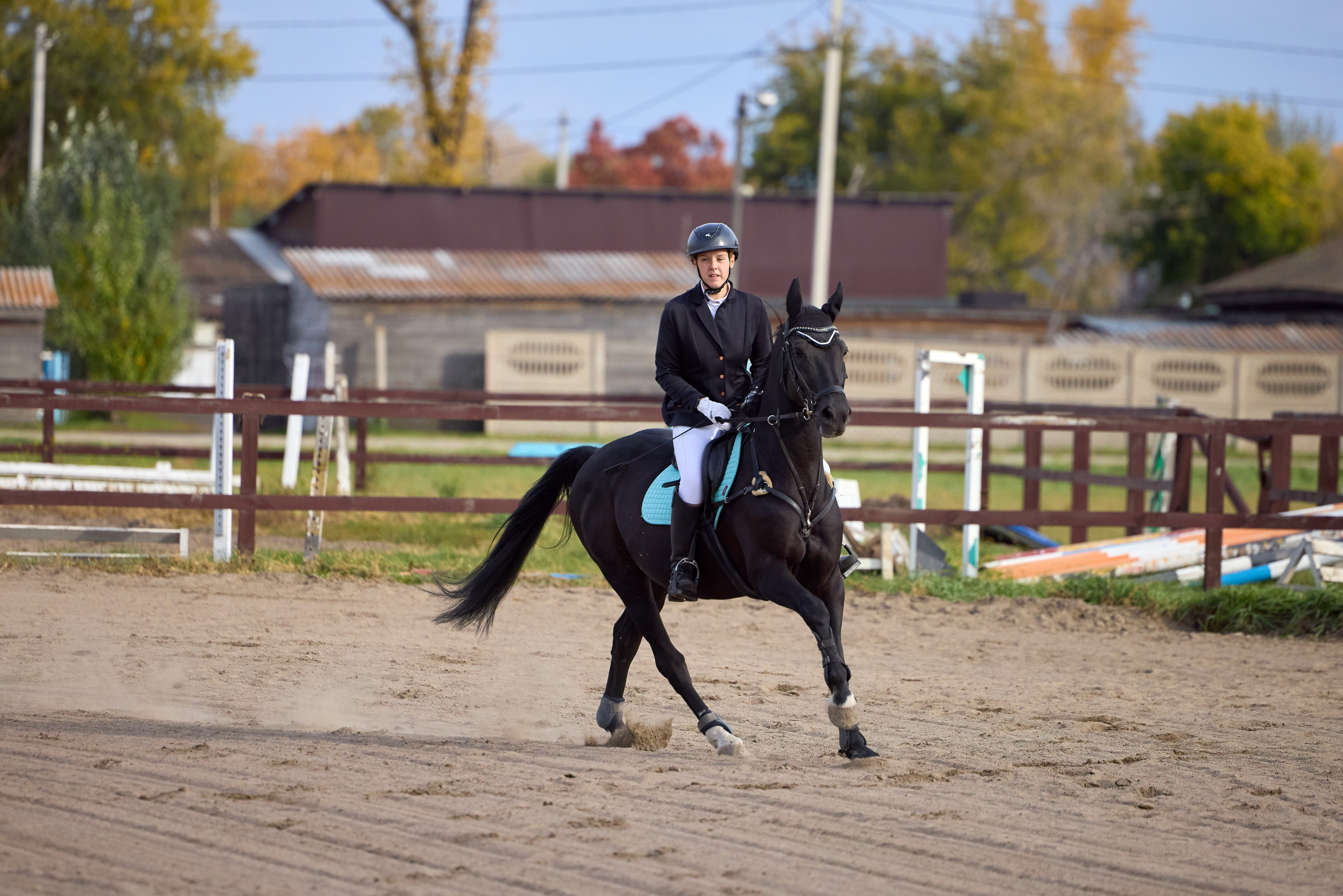 Конкур на Абаканском ипподроме. Ваши Истории. Фотограф/видеограф. Абакан