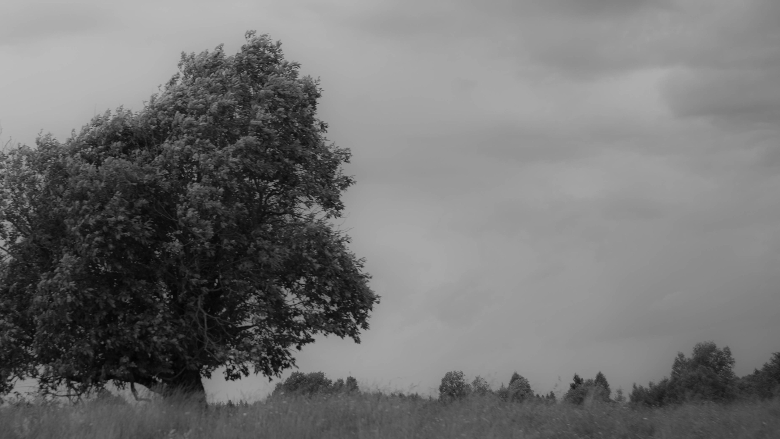 Стрит. Портретный фотограф в Москве Мальцев Максим