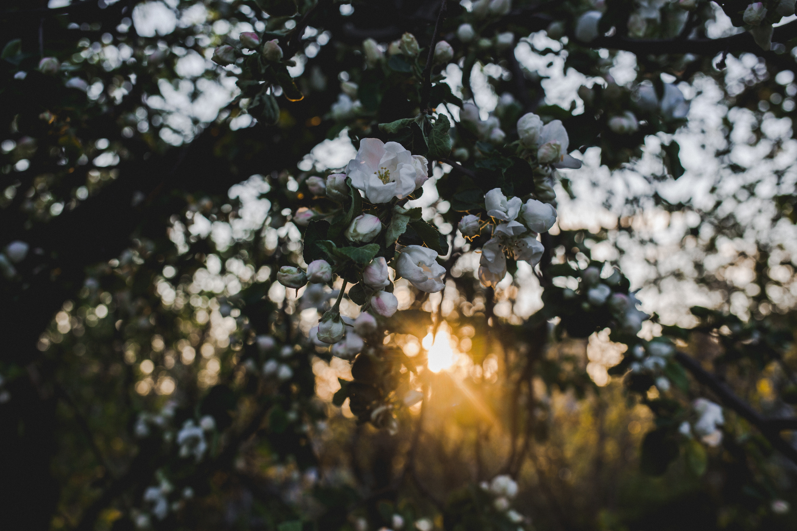 Коллекция пейзажных фотографий. Photographer Sonkina Tatiana (Tanya Ash)