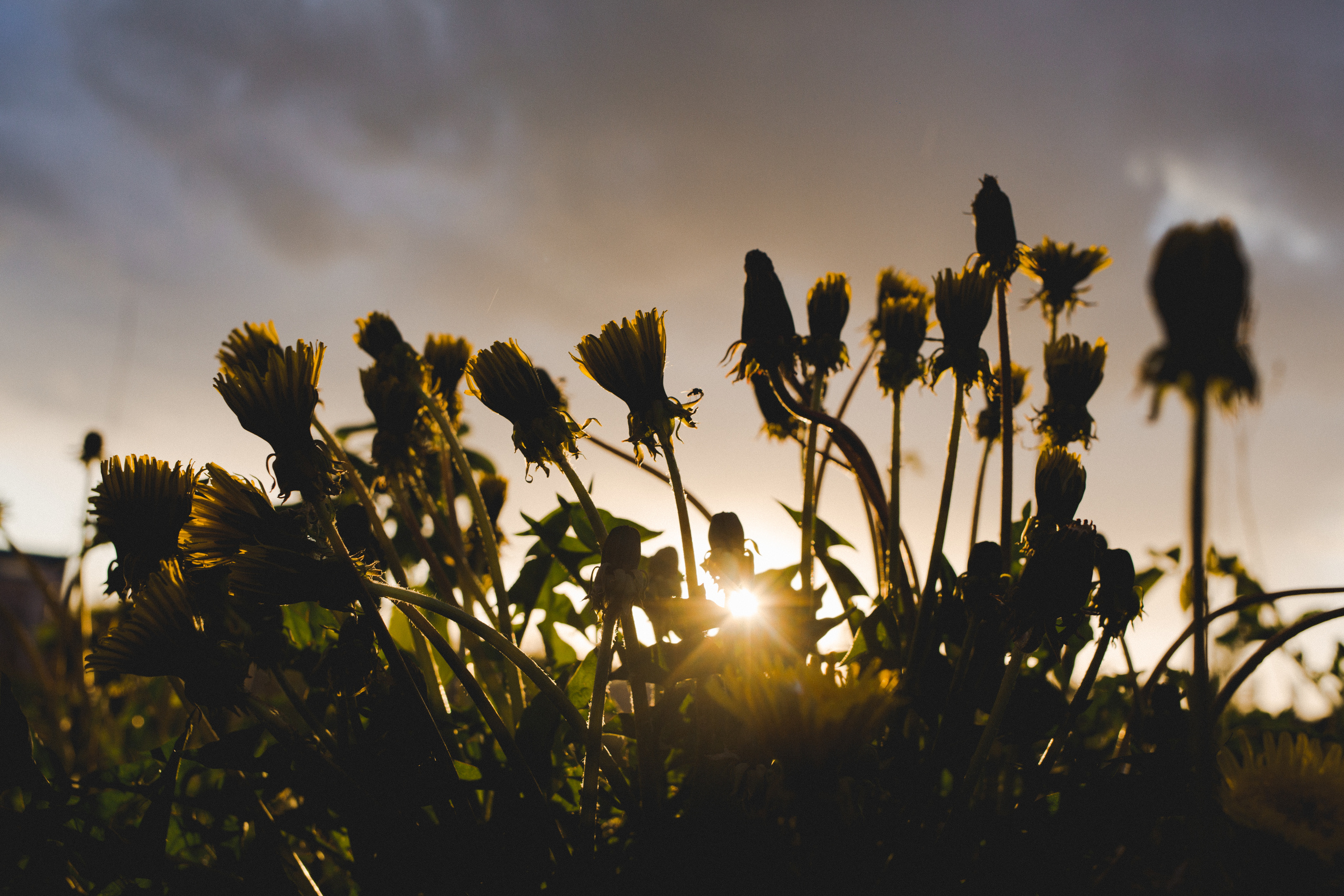 Коллекция пейзажных фотографий. Photographer Sonkina Tatiana (Tanya Ash)