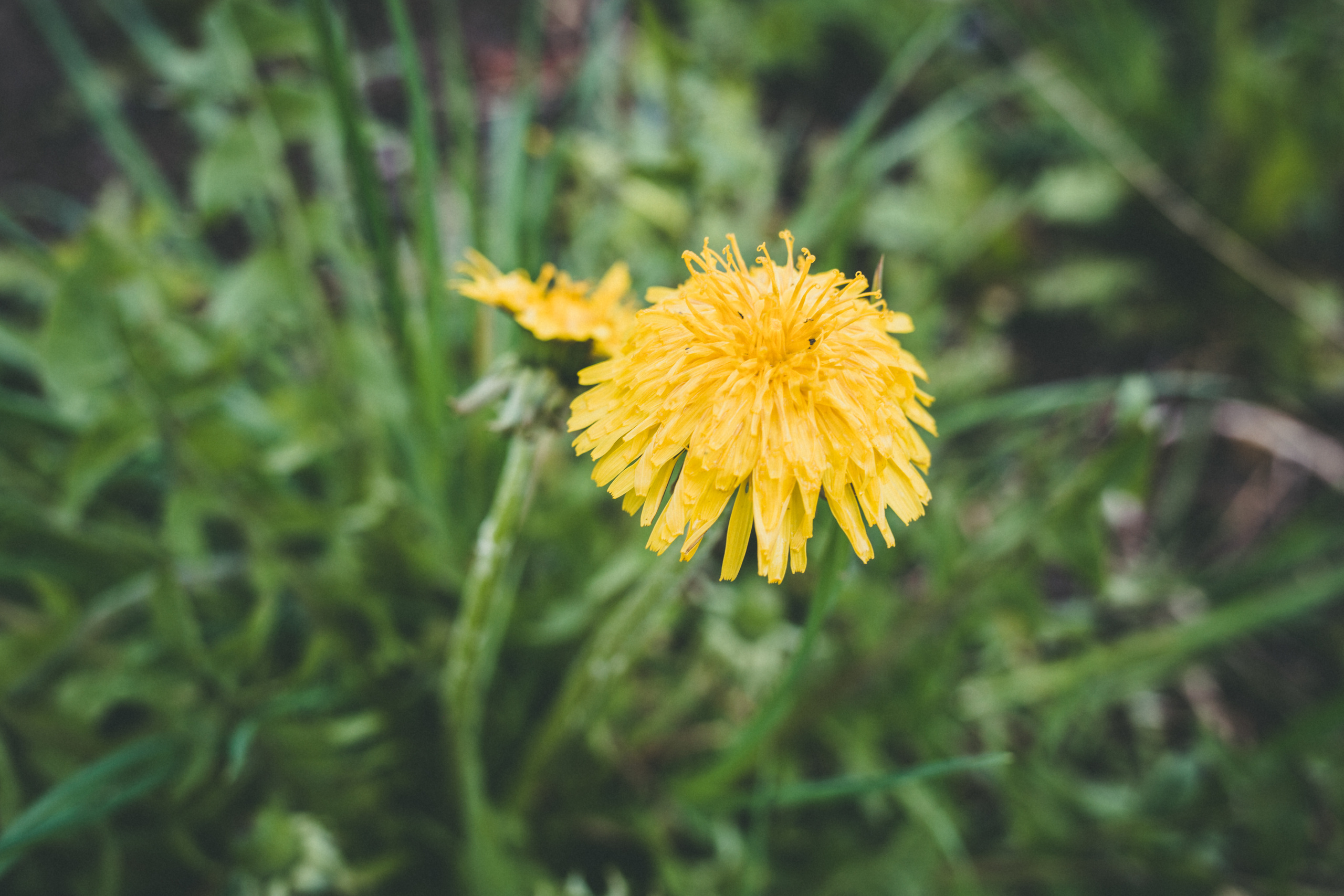 Коллекция пейзажных фотографий. Photographer Sonkina Tatiana (Tanya Ash)