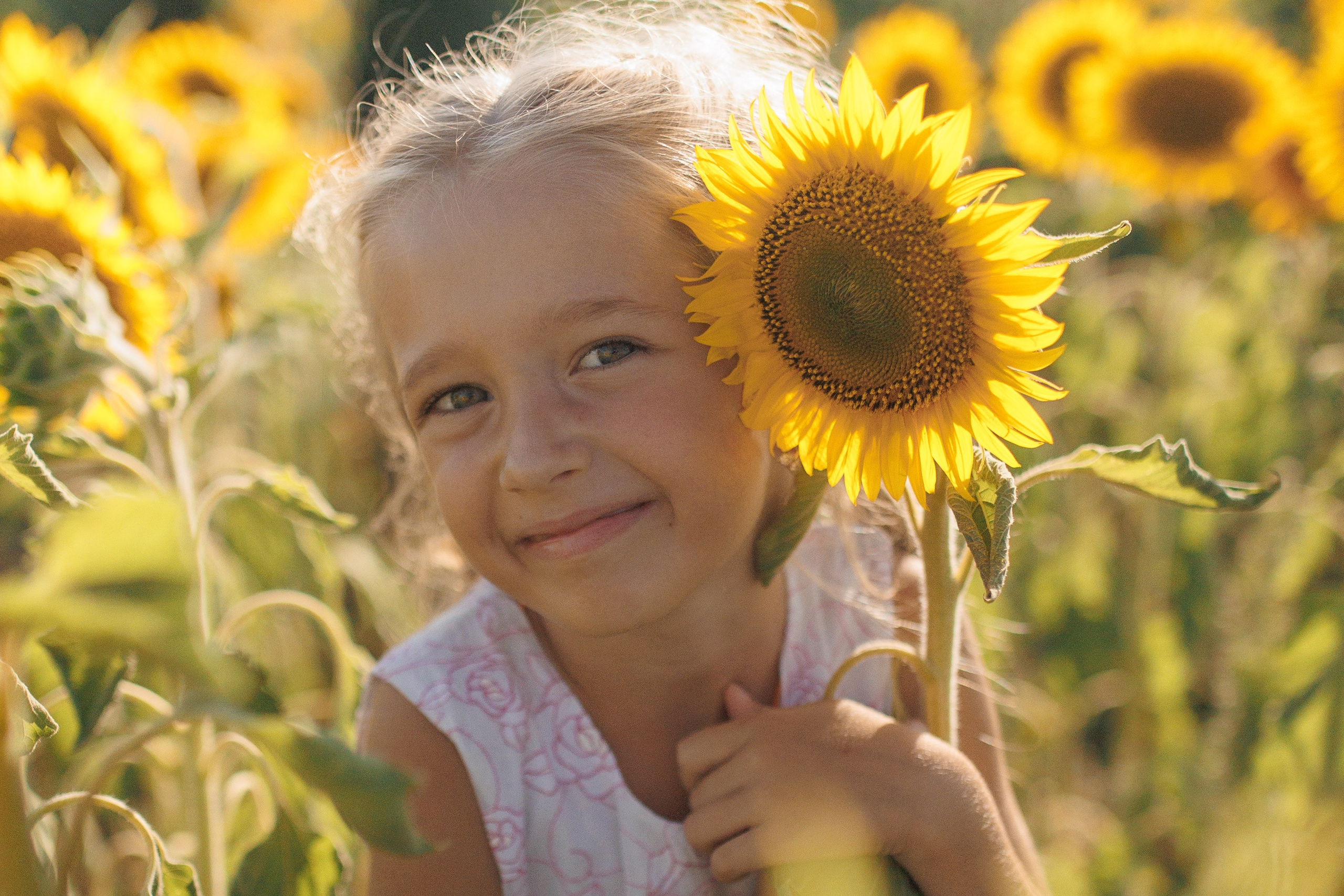 Дети и подсолнухи. Семейный фотограф lifestyle в Новосибирске Елена Шпилевая