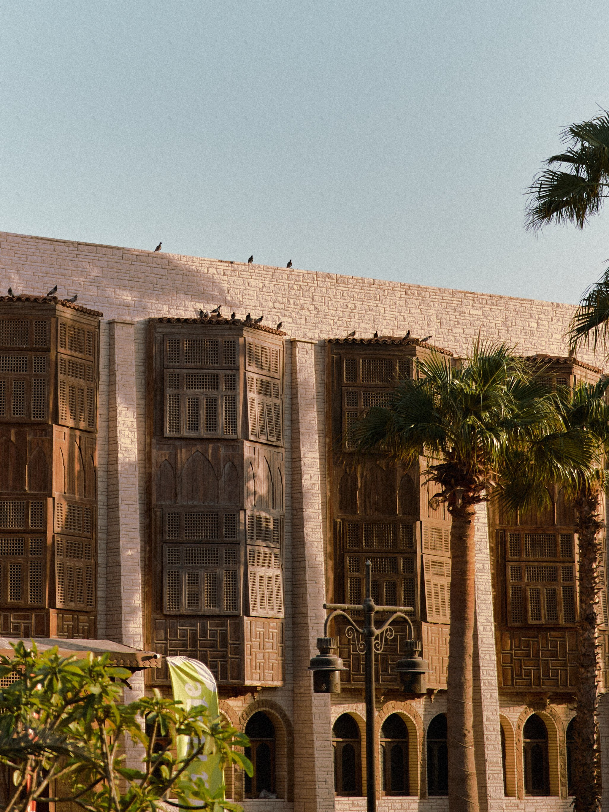 Природа сквозь. Jorgis Talè — photographer, kind person, teacher of arts and other mag