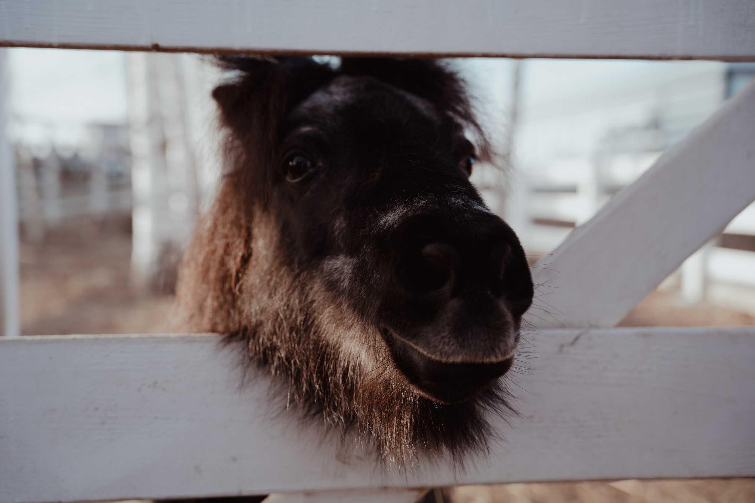 Кино. Концептуальный фотограф Шлыкова Ольга