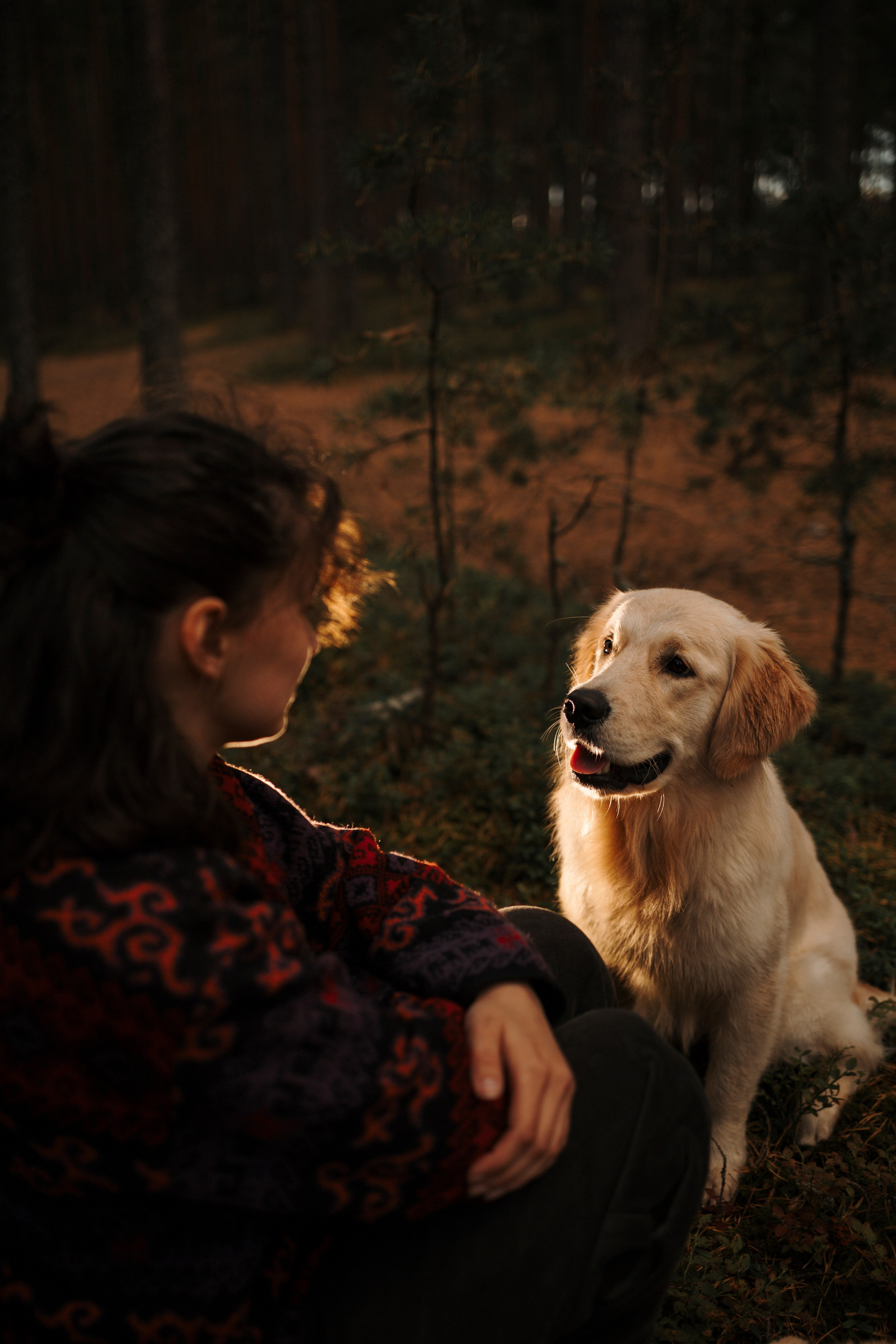 Прогулка Насти с Арчи и Арагоном. Фотограф-анималист в Санкт-Петеребурге Титова Алиса