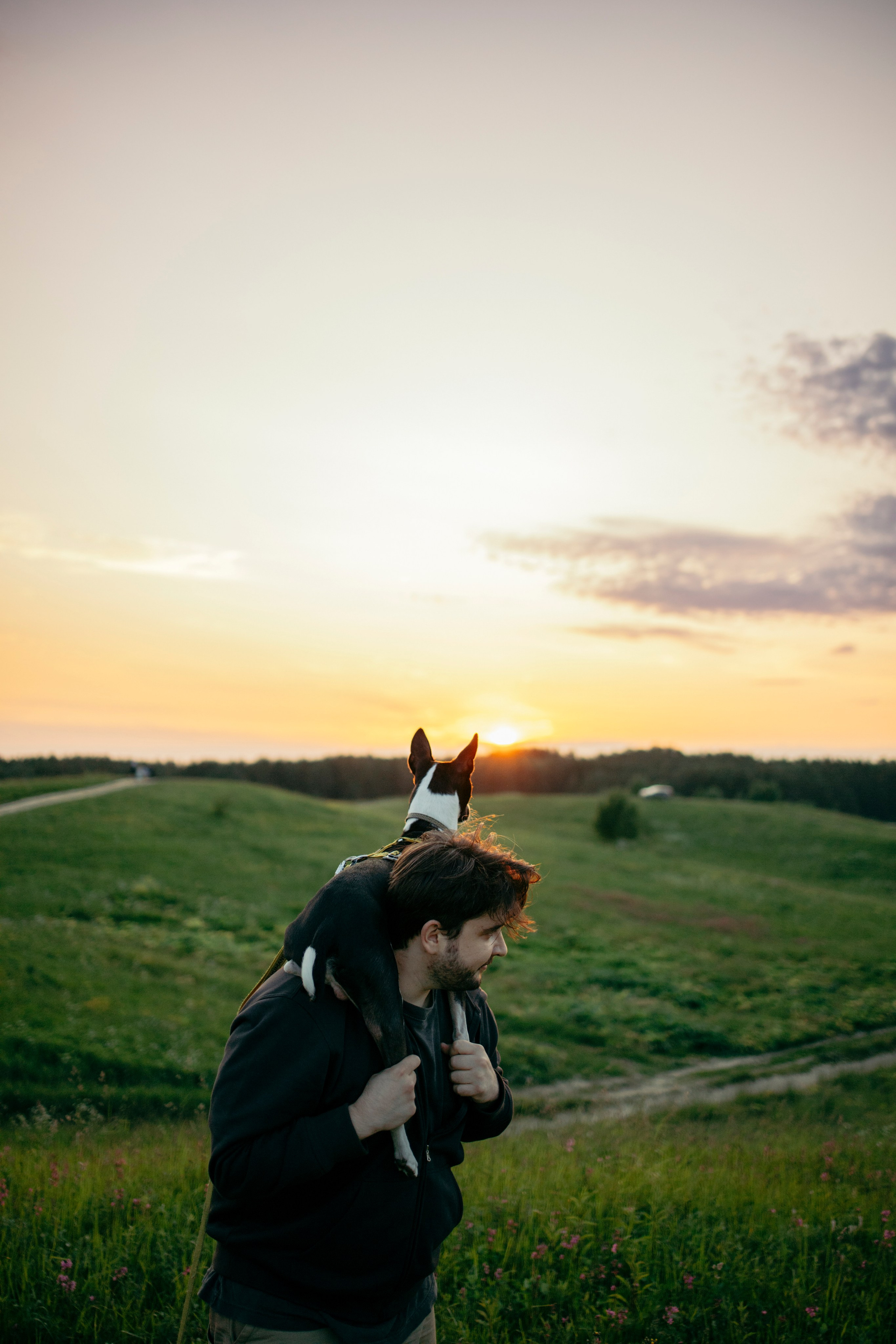Итачи и его семья 🐾. Фотограф-анималист в Санкт-Петеребурге Титова Алиса