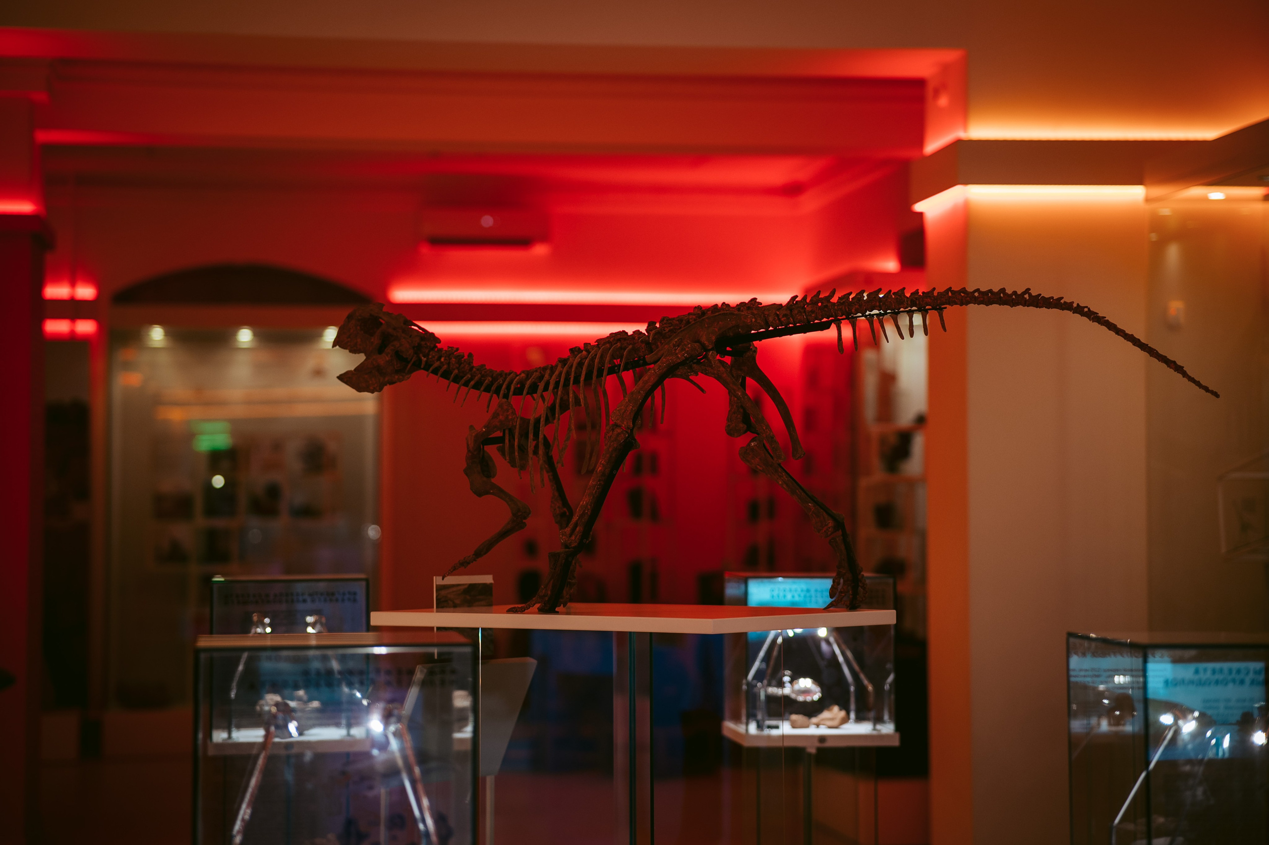 Ночь искусств 2023. Фотограф на любое событие в Кемерово