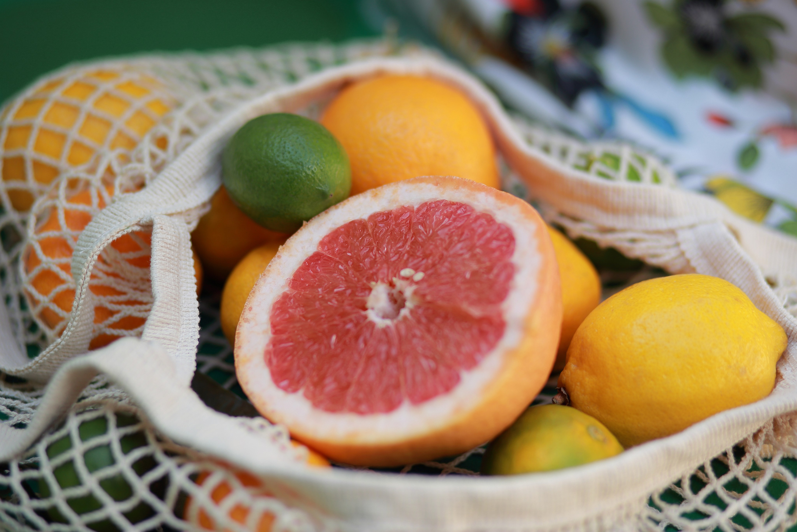 Абхазия. Мимоза. Ольга Котова