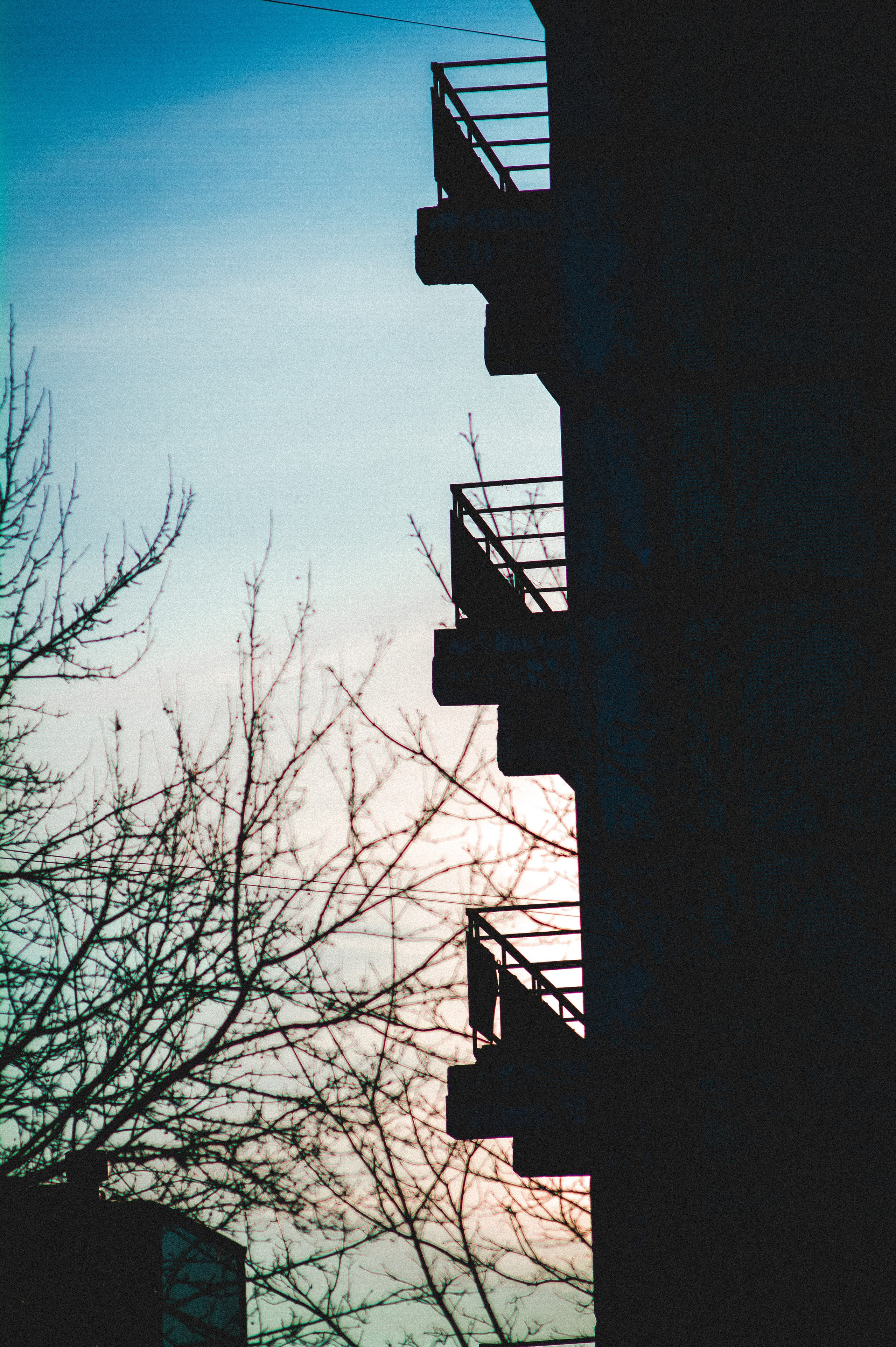 Со дна на вершину. Den Mirov — Фотограф, Музыкант