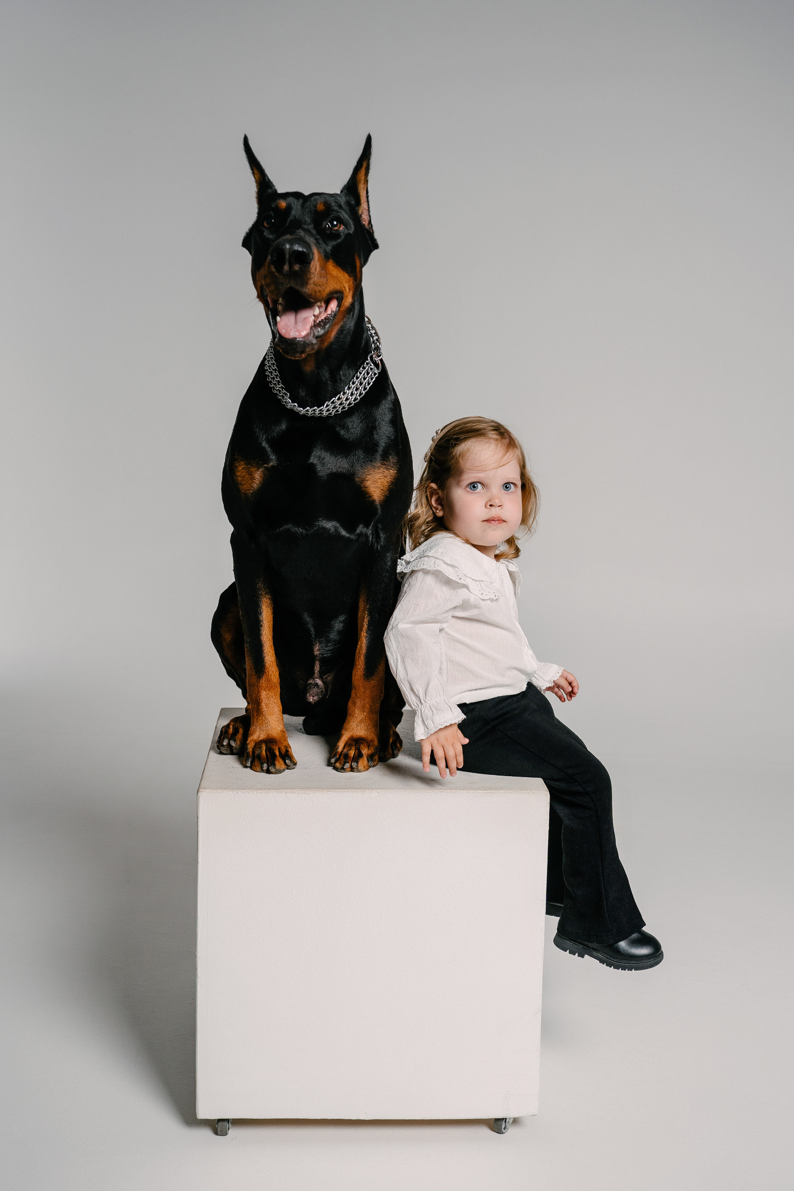 Малышка Эмилия и Доберман Кай. Свадебный и семейный фотограф в Воронеже Анастасия Бойко