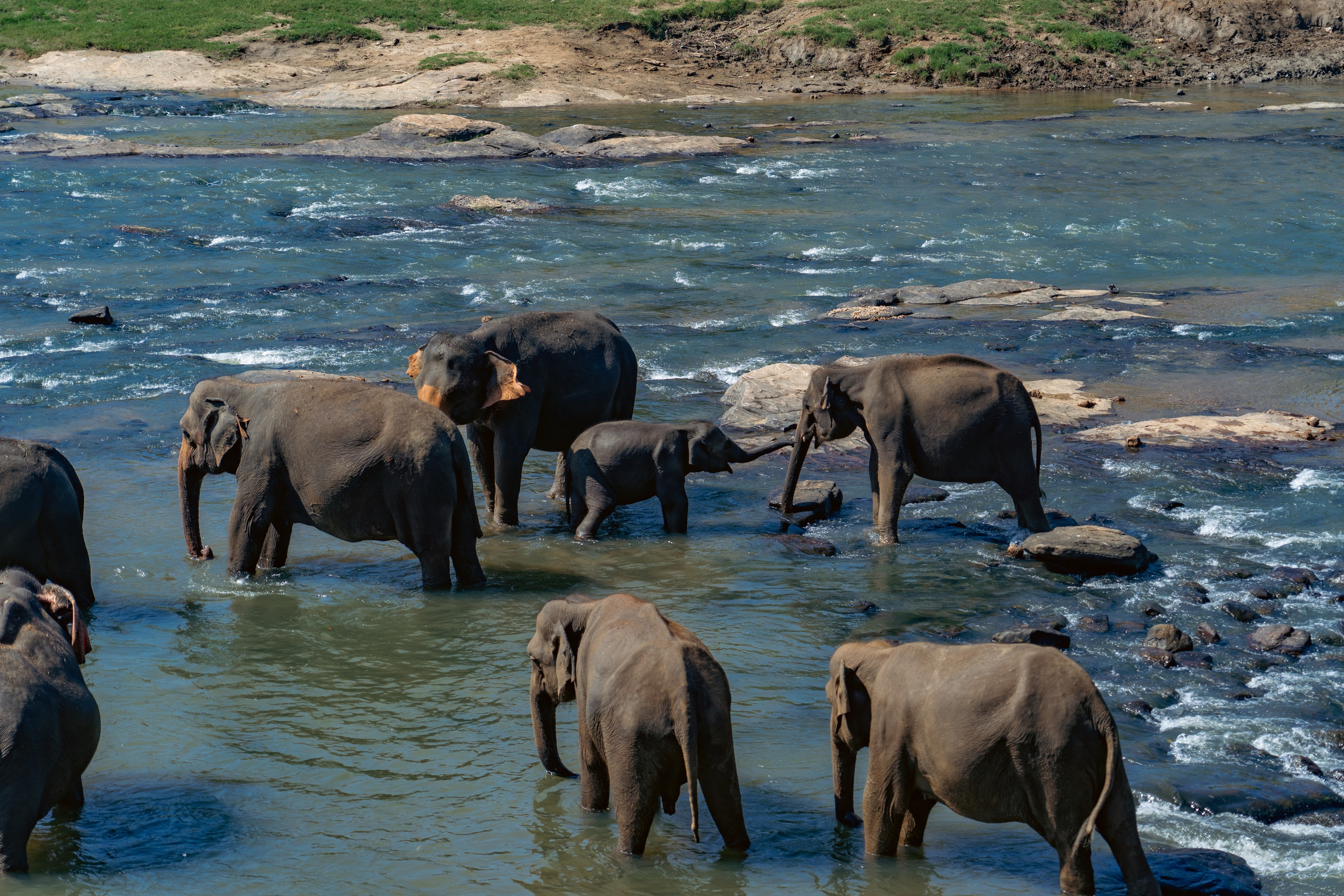 Promo content shooting for Ceylon Forward Tours