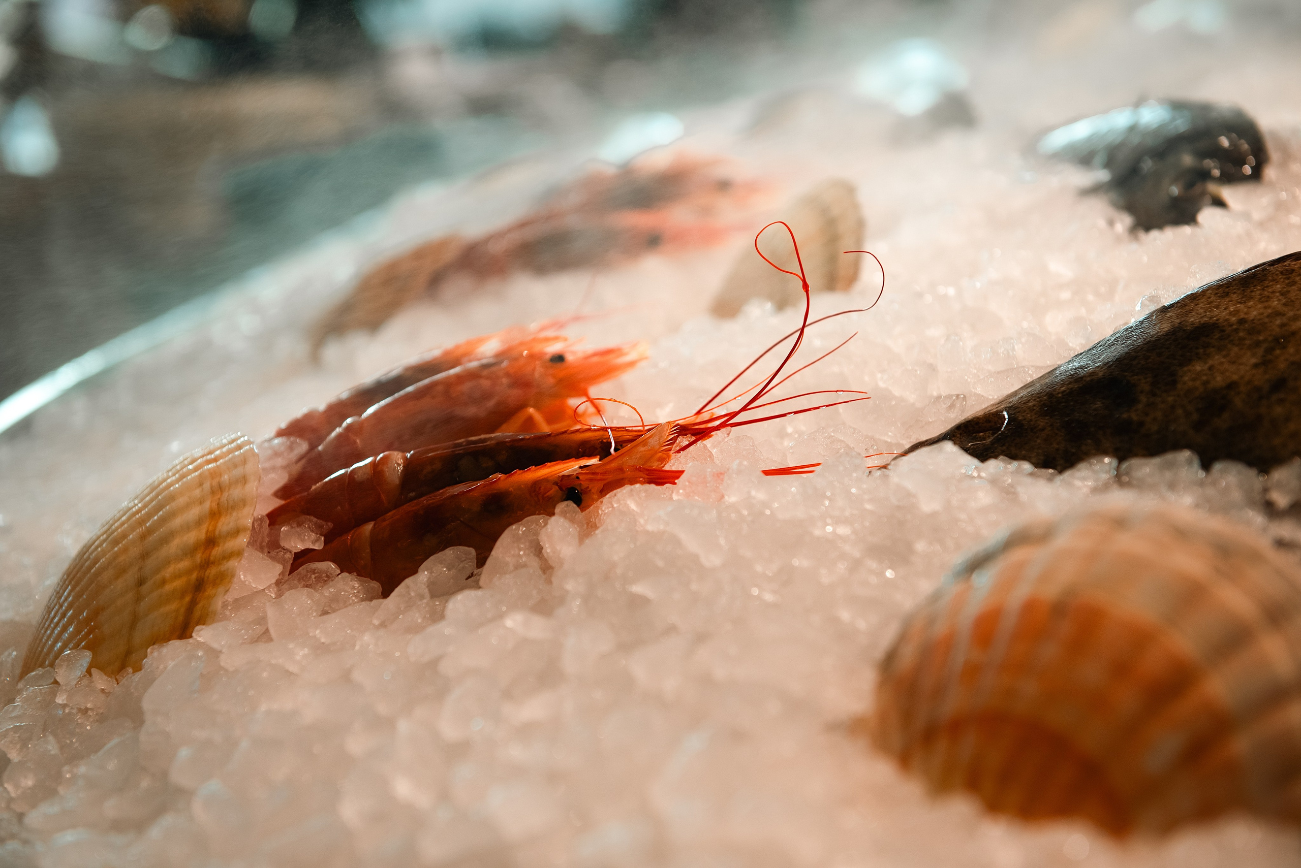 Усадьба Третьякова/ ресторан Аврора. Фотограф, визажист. Москва