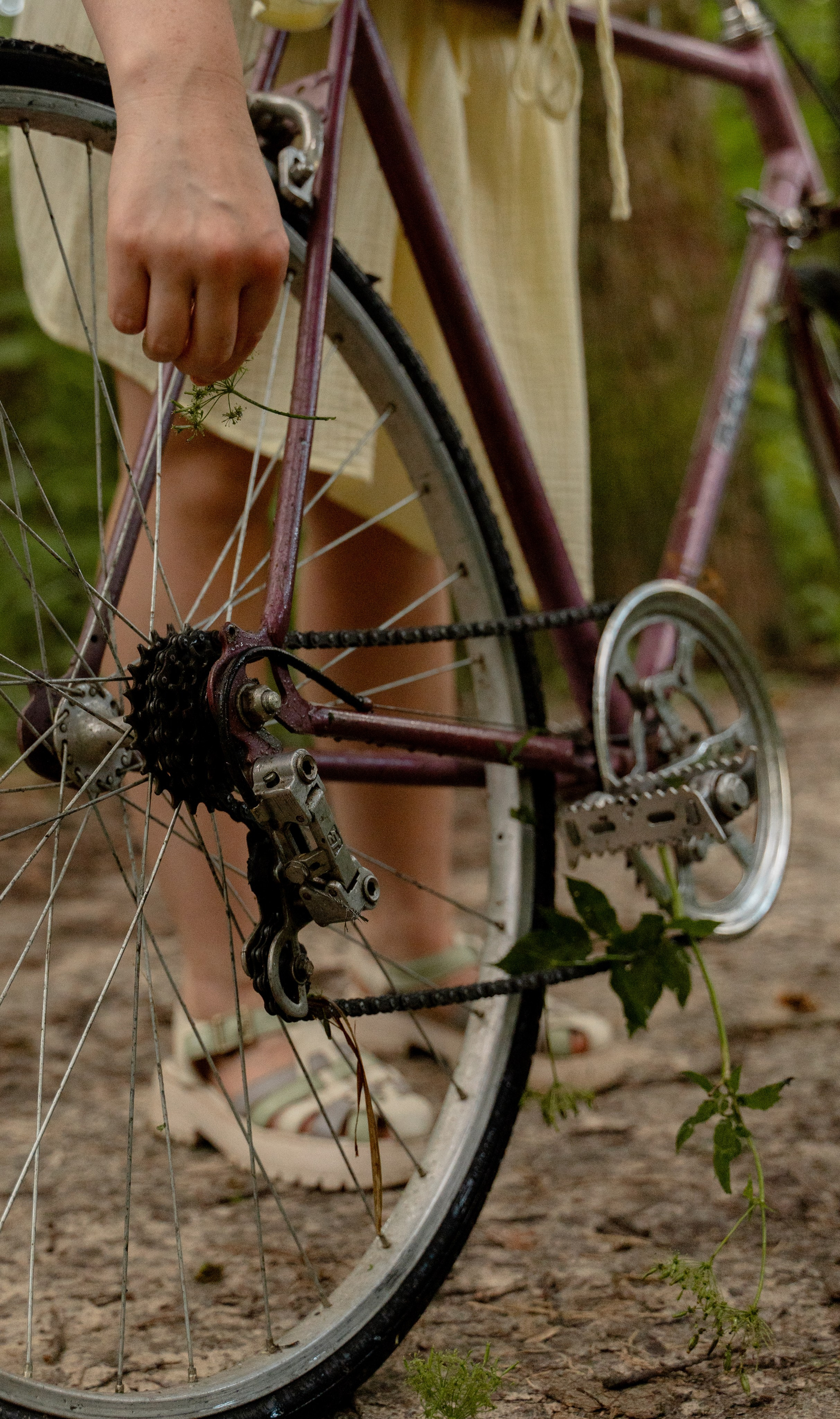 Полина. Фотограф в Смоленске, Москве и Санкт-Петербурге