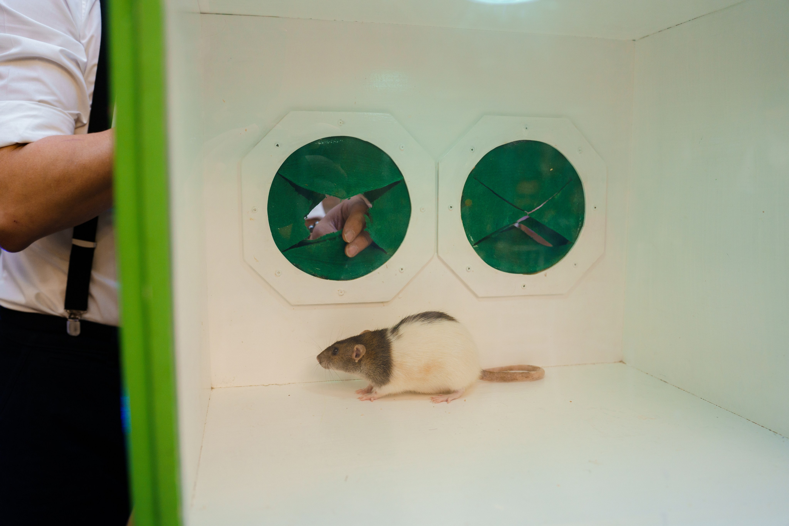 День рождения Светланы. Видеограф и Фотограф в Челябинске Ксения и Владимир Рюмины