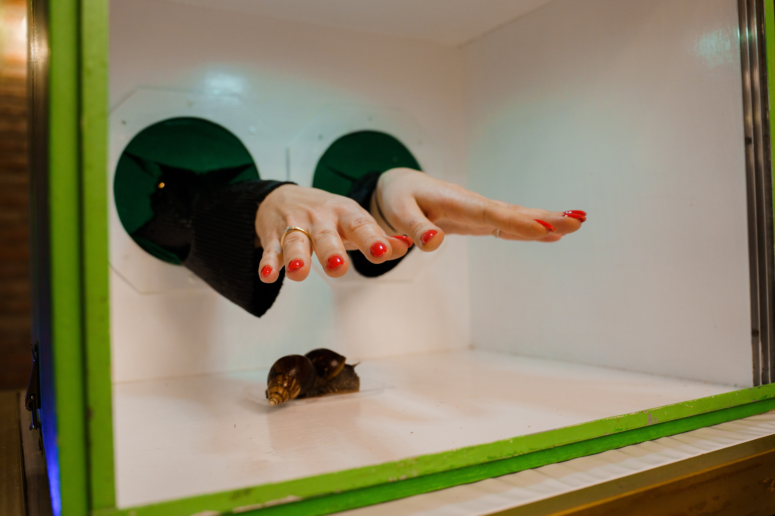 День рождения Светланы. Видеограф и Фотограф в Челябинске Ксения и Владимир Рюмины