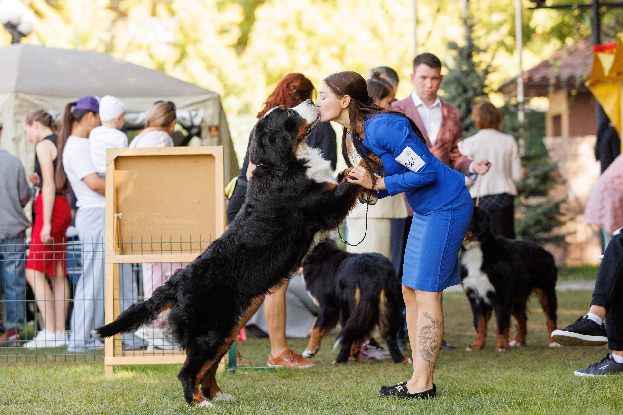 Бишкек 3х CACIB 26-28.09.2025. Фотограф-анималист Юлия Германика