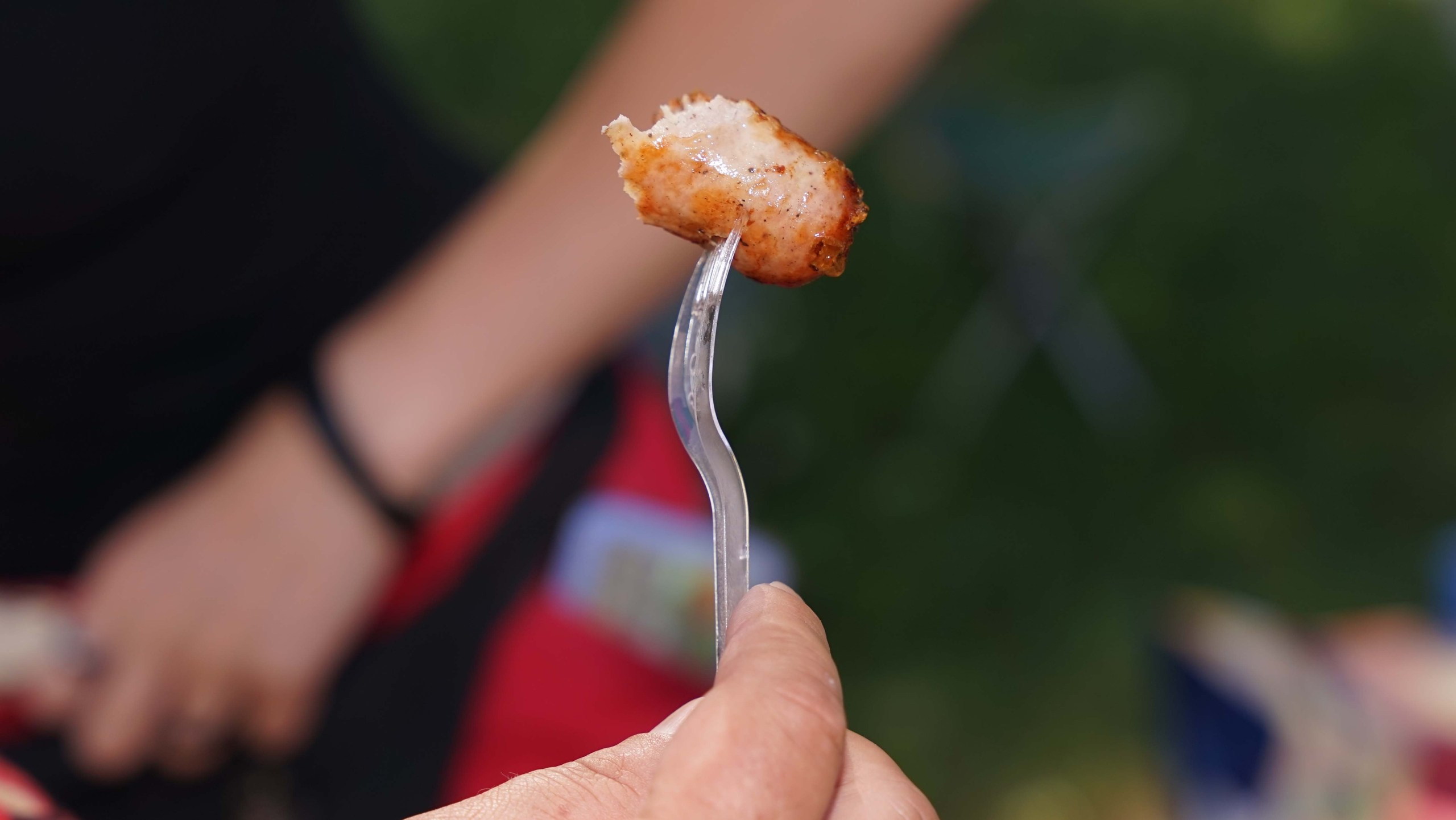 Шашлыки | 06.07.2024. Галерея Фантим