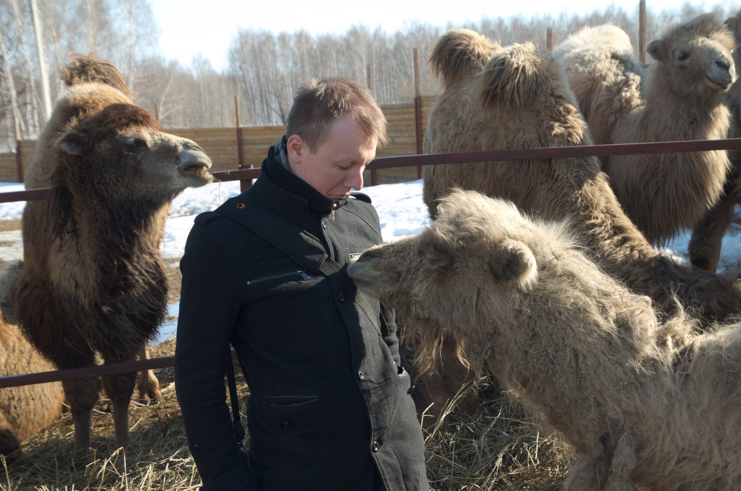 Казань | 24-26.03.2017. Галерея Фантим